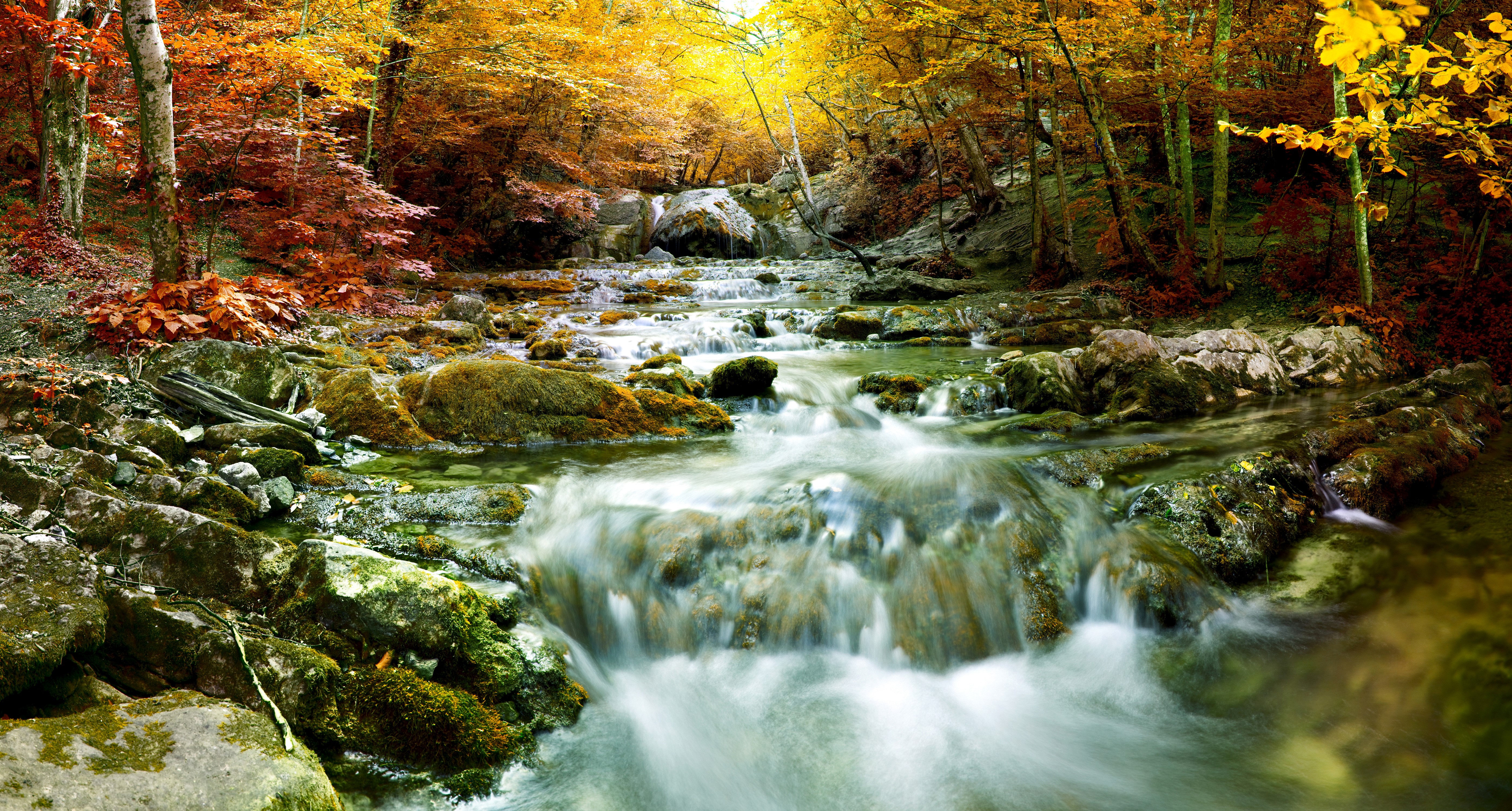 Autumn stream with waterfalls and mossy rocks HD Wallpaper