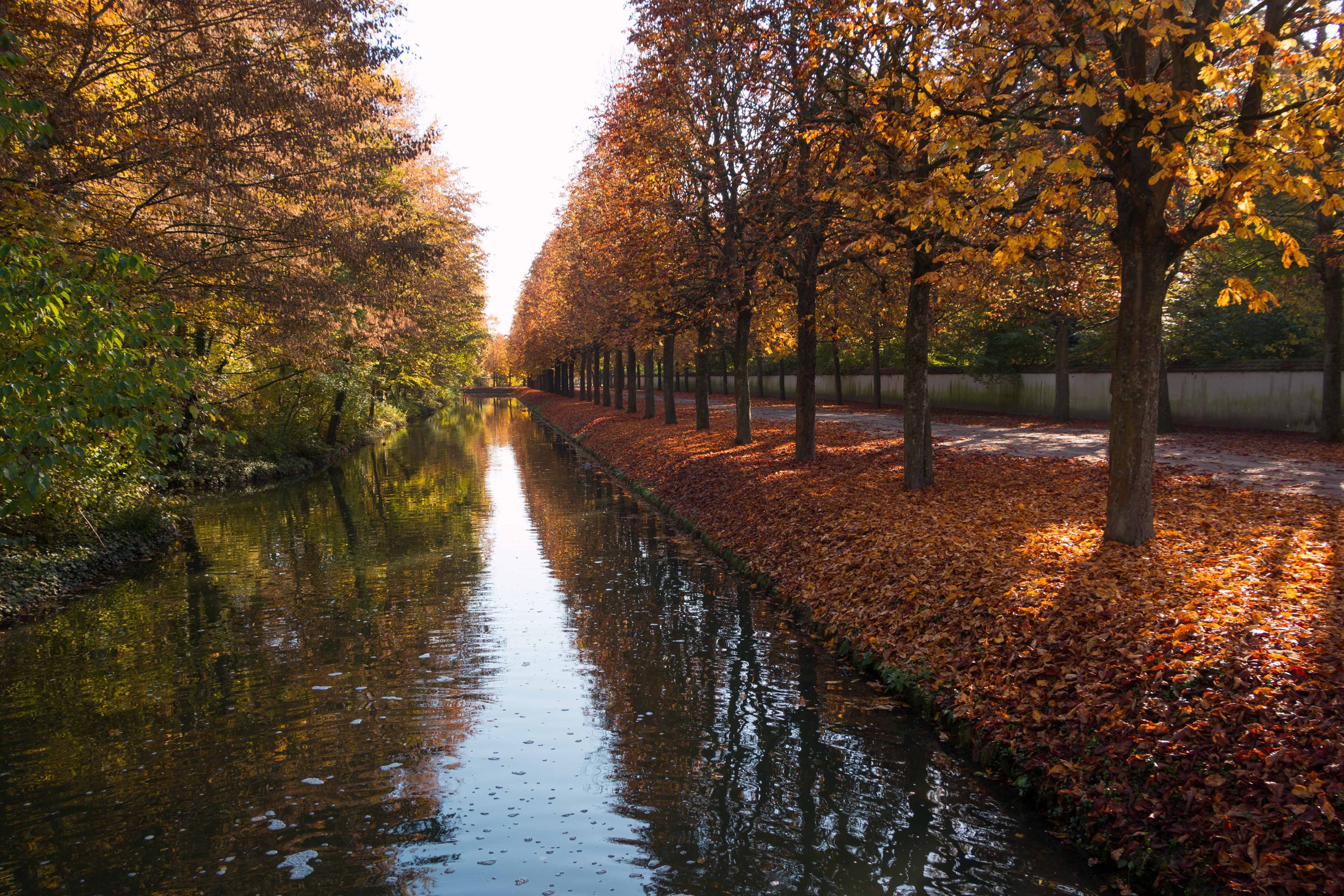 Canal in Schwetzingen Palace Gardens during Autumn HD Wallpaper