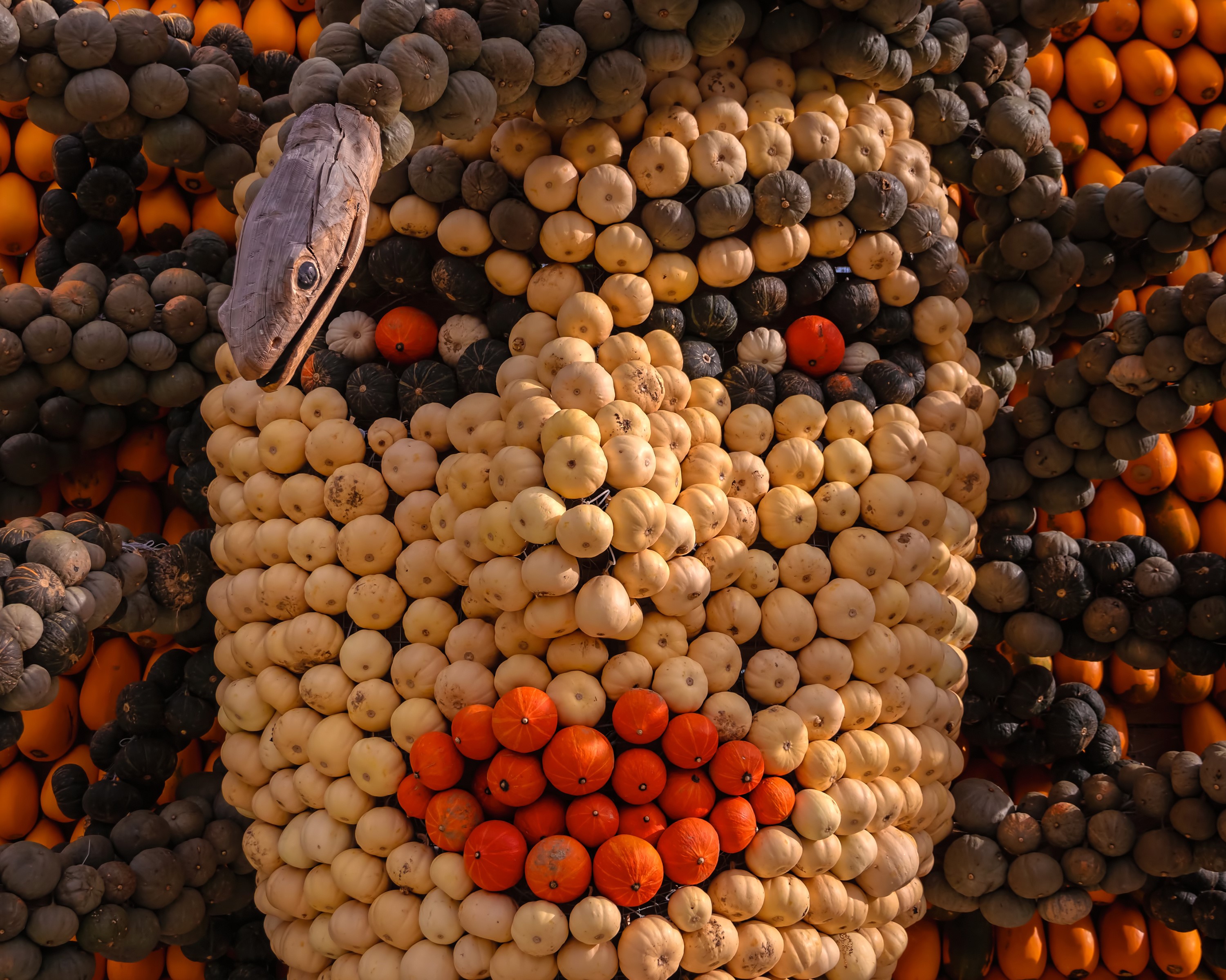 Pumpkin sculpture of a snake face HD Wallpaper