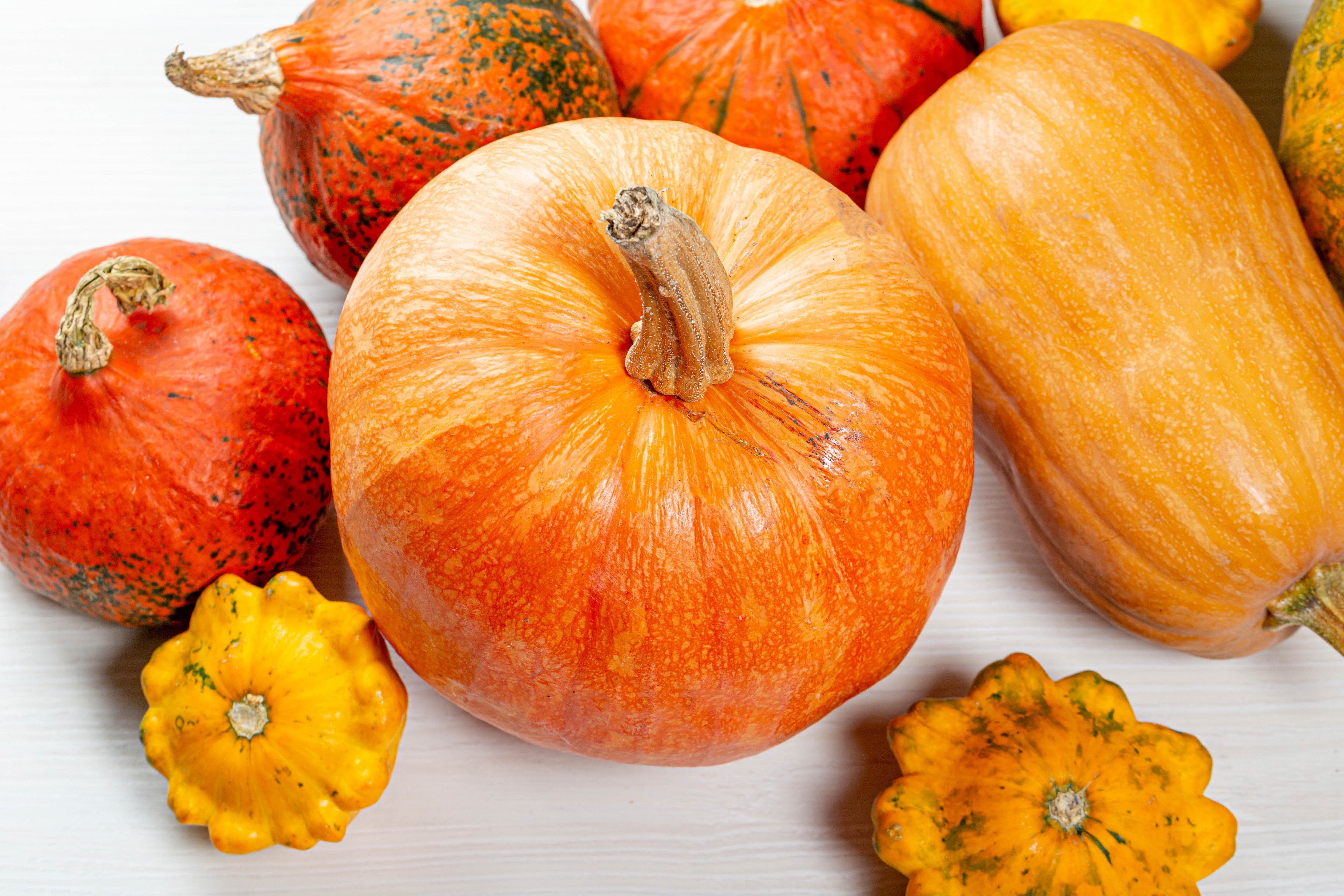 Pumpkins on a white background HD Wallpaper