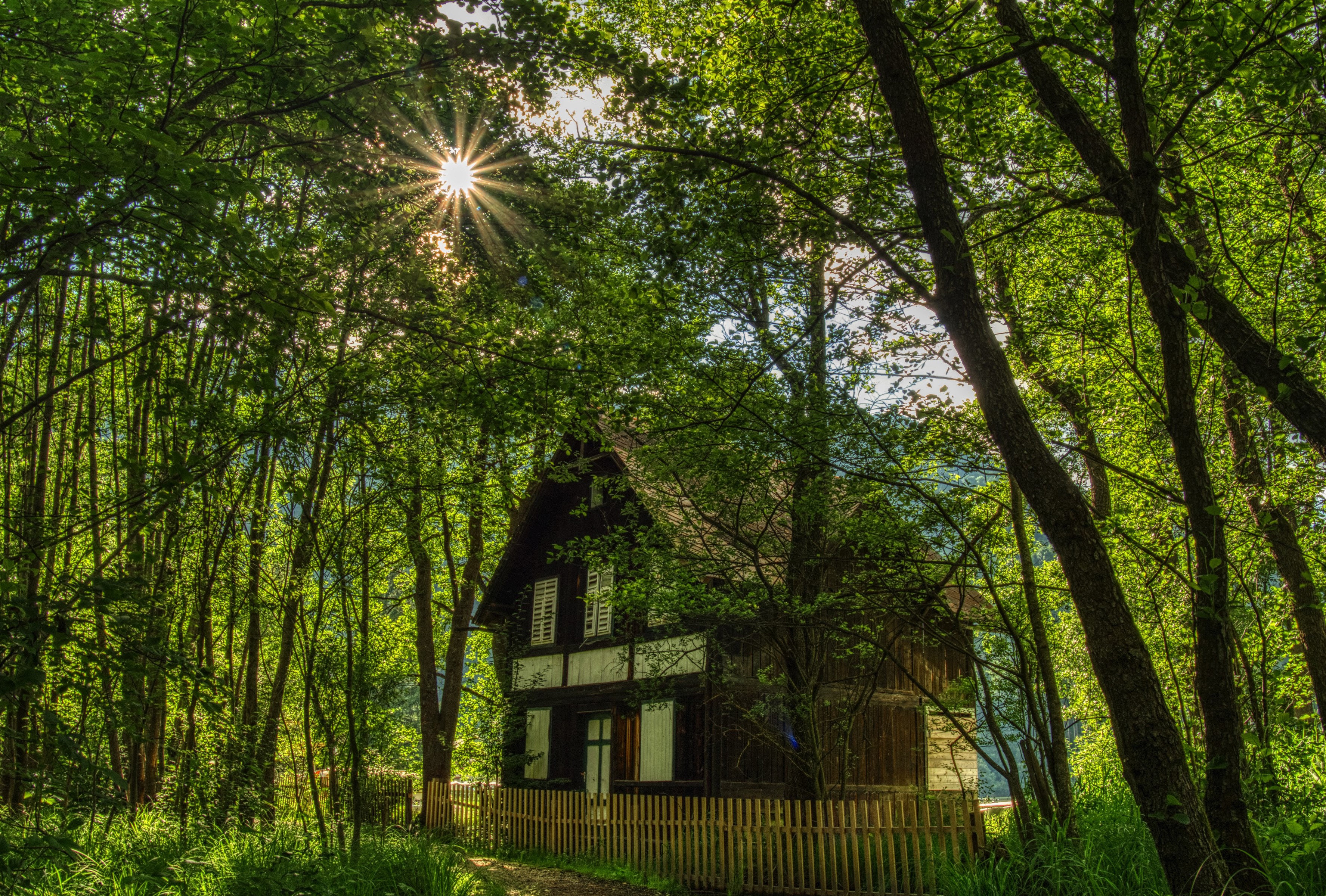 Wooden house in a sun-dappled forest with a wooden fence HD Wallpaper