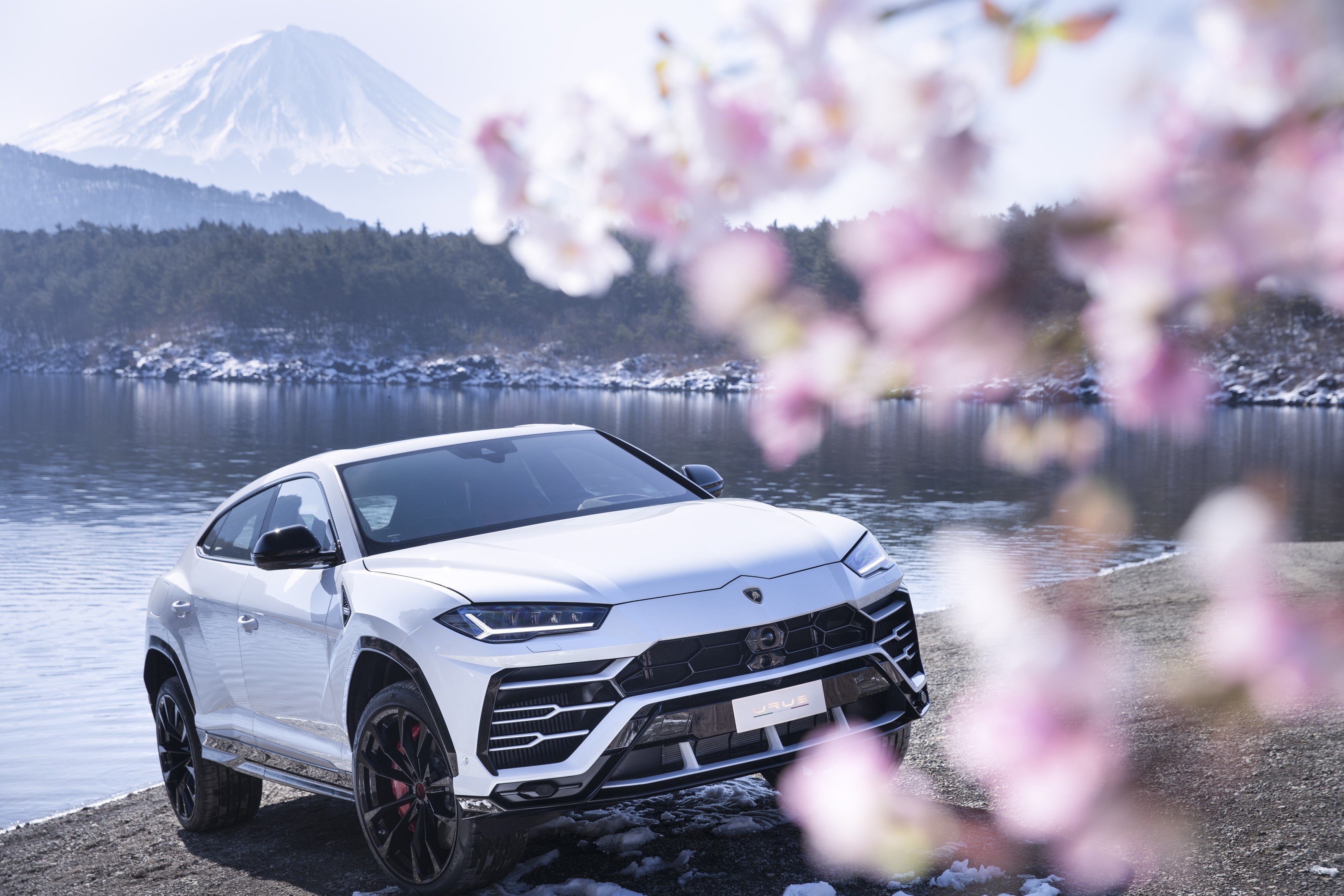 White Lamborghini Urus by a lake with Mount Fuji HD Wallpaper