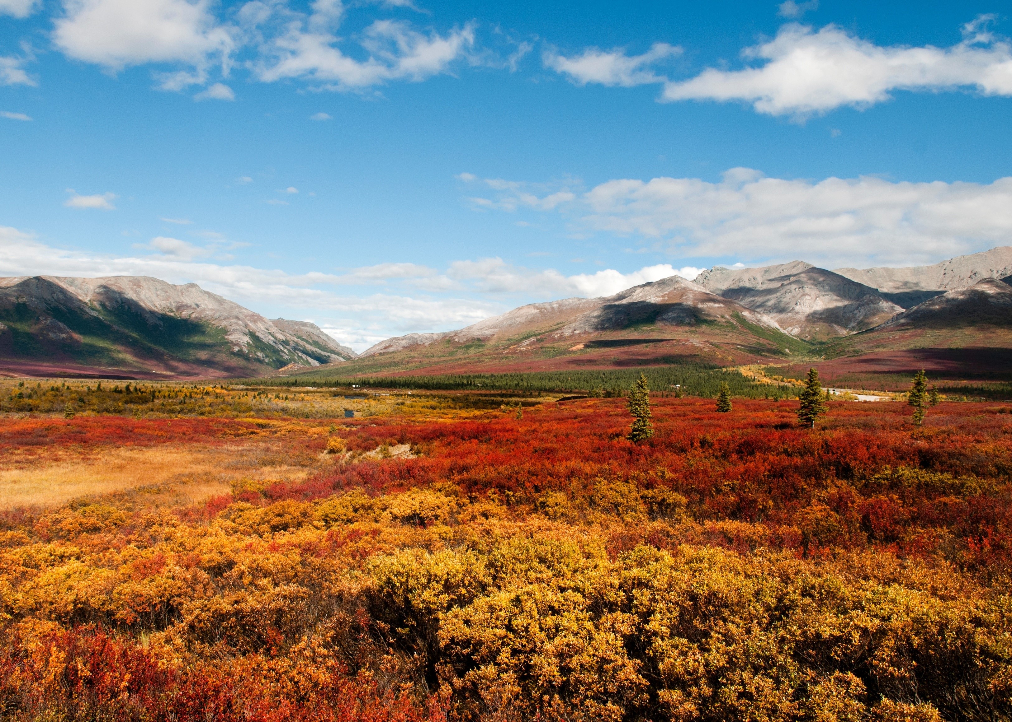 Autumn landscape in Denali National Park, Alaska HD Wallpaper