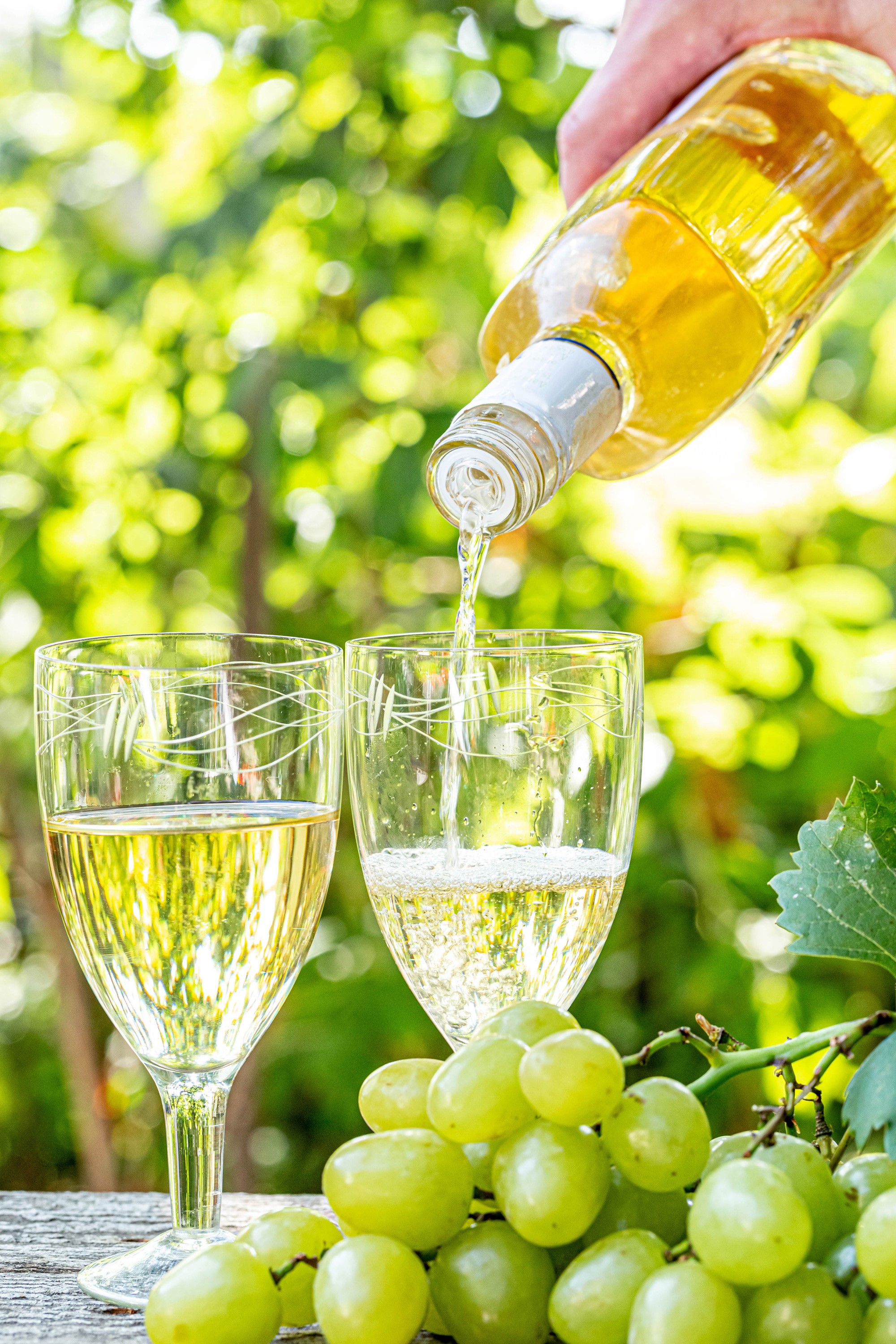 White wine being poured into glasses with grapes HD Phone Wallpaper