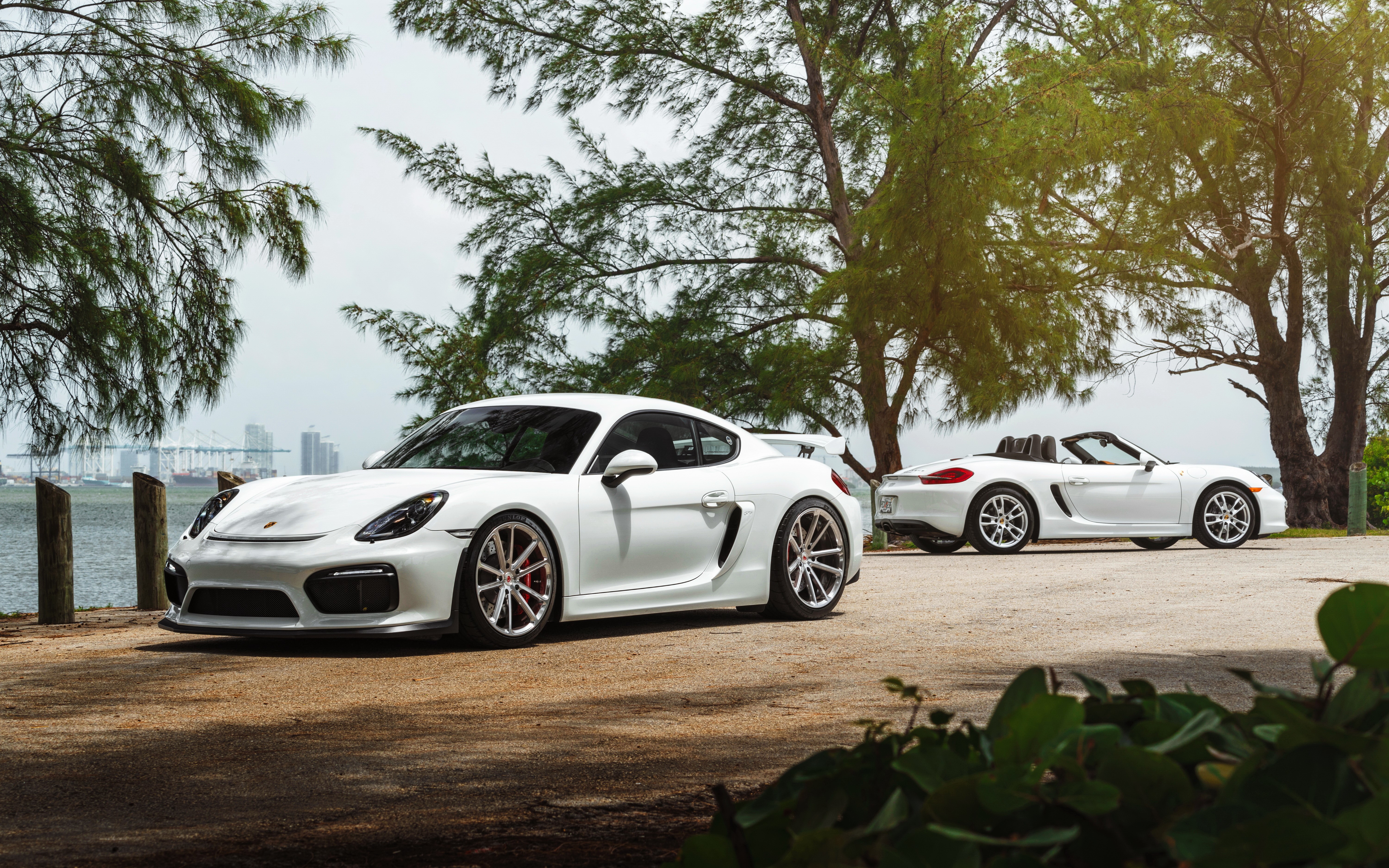 White Porsche Cayman GT4 and Boxster HD Wallpaper