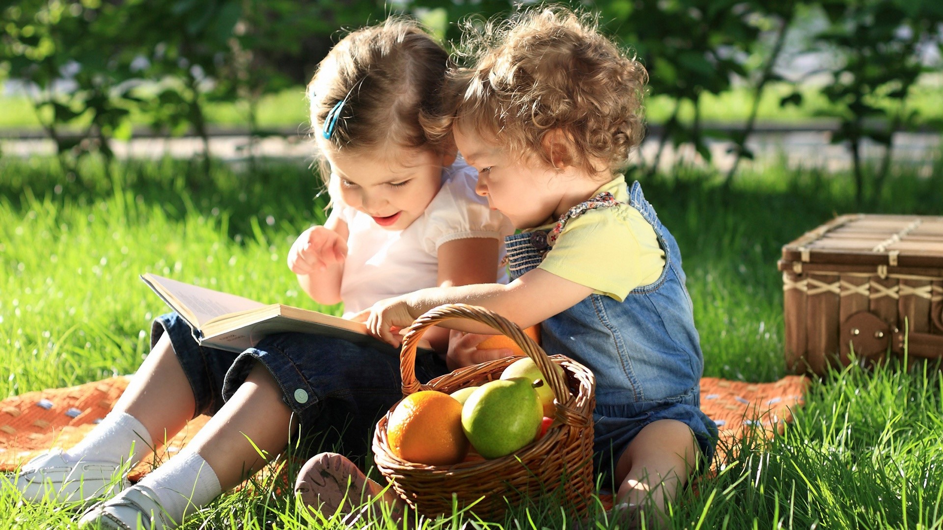 Two young girls reading a book at a picnic HD Wallpaper