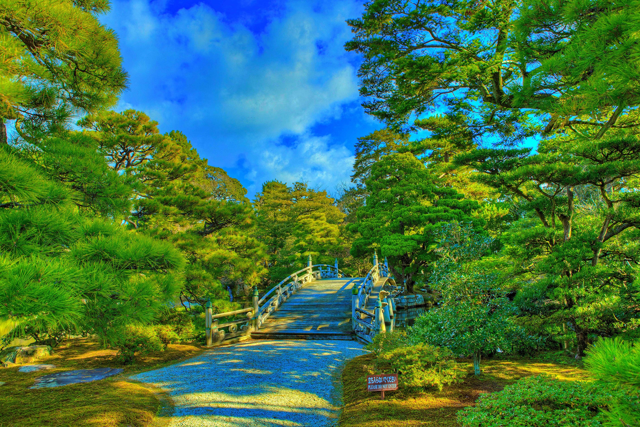 Japanese Garden with Wooden Bridge and Lush Trees HD Wallpaper