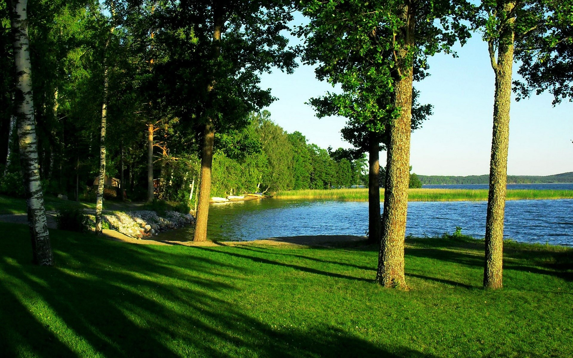 Lakeside scene with trees and grass HD Wallpaper
