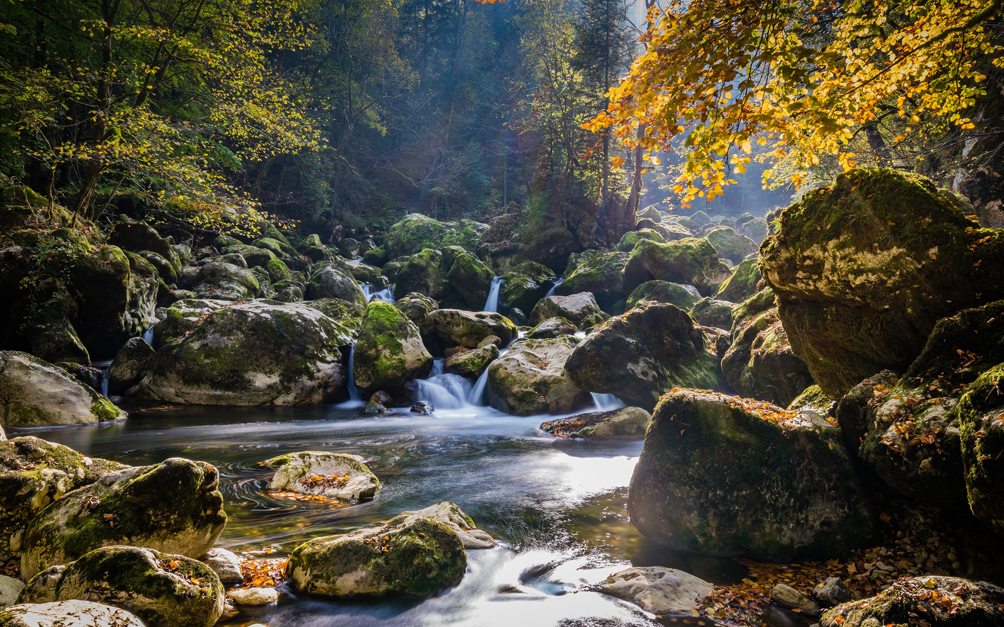 4K Autumn Stream with Moss-Covered Stones HD Wallpaper