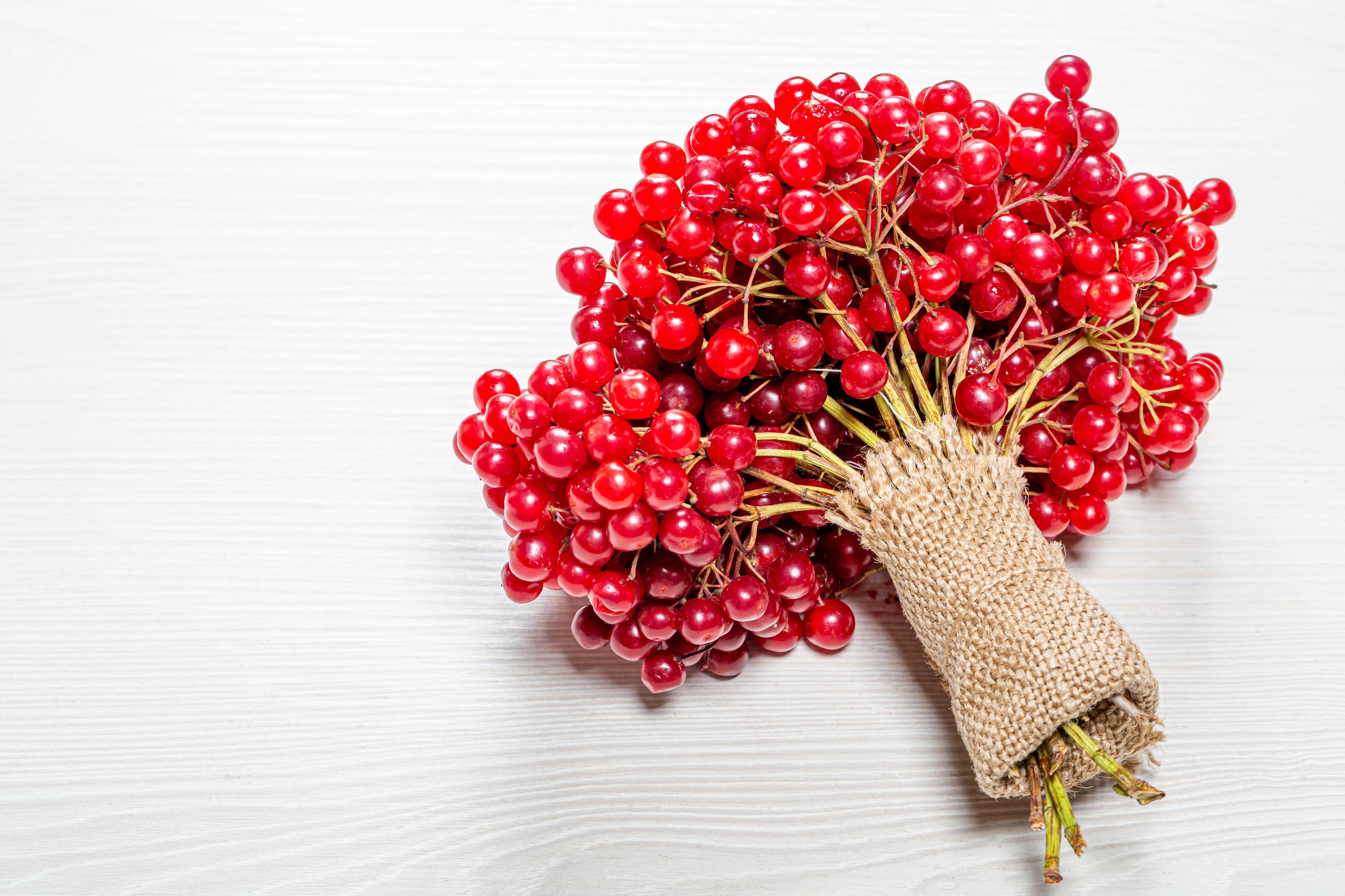 Red Viburnum Berries Tied with Burlap HD Wallpaper