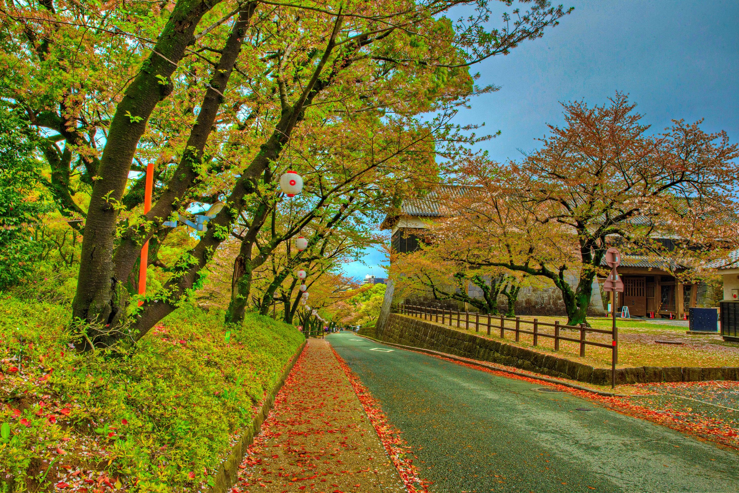 Kumamoto Castle Road in Autumn HD Wallpaper