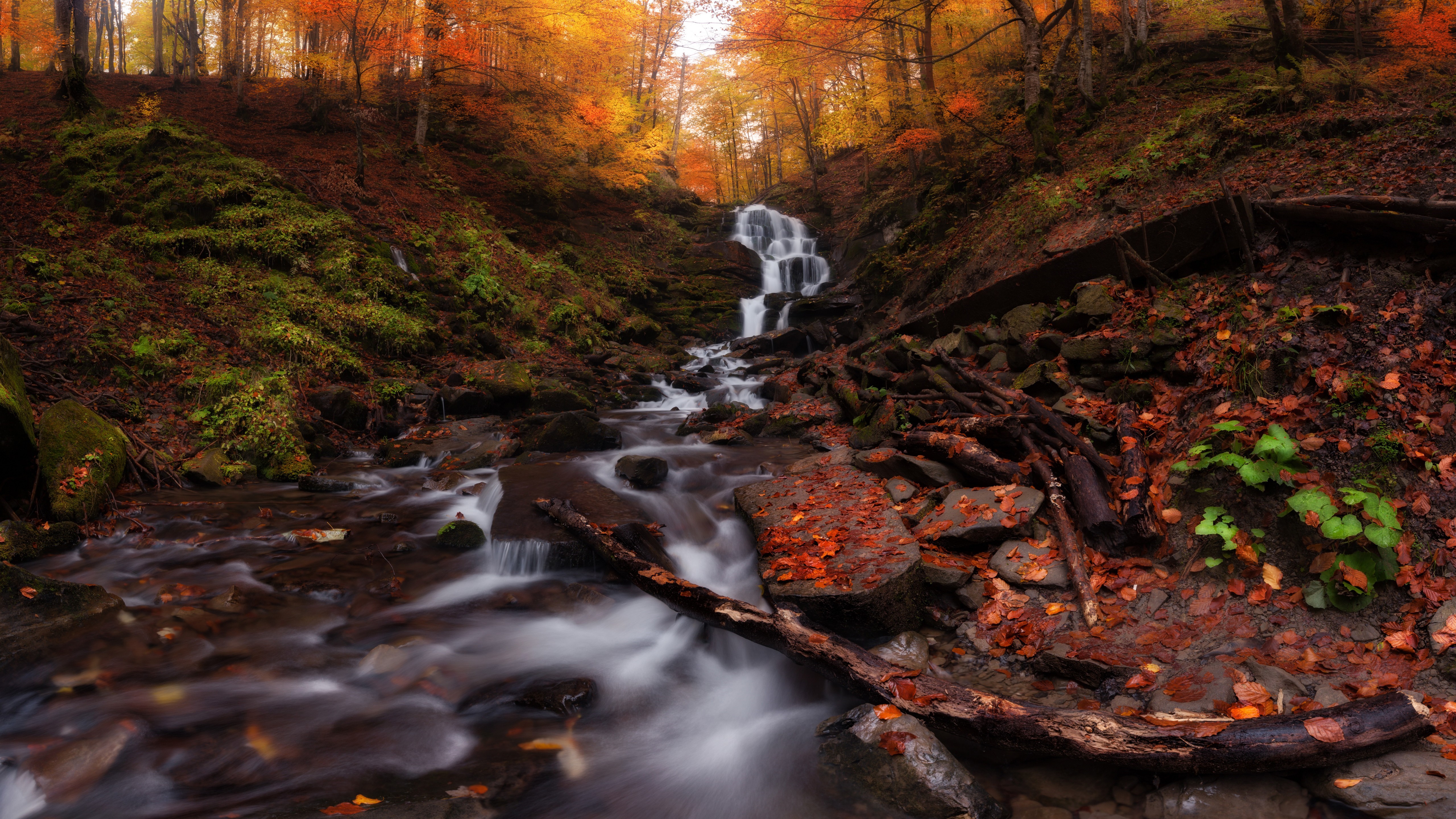 Autumn waterfall stream with mossy stones and foliage HD Wallpaper