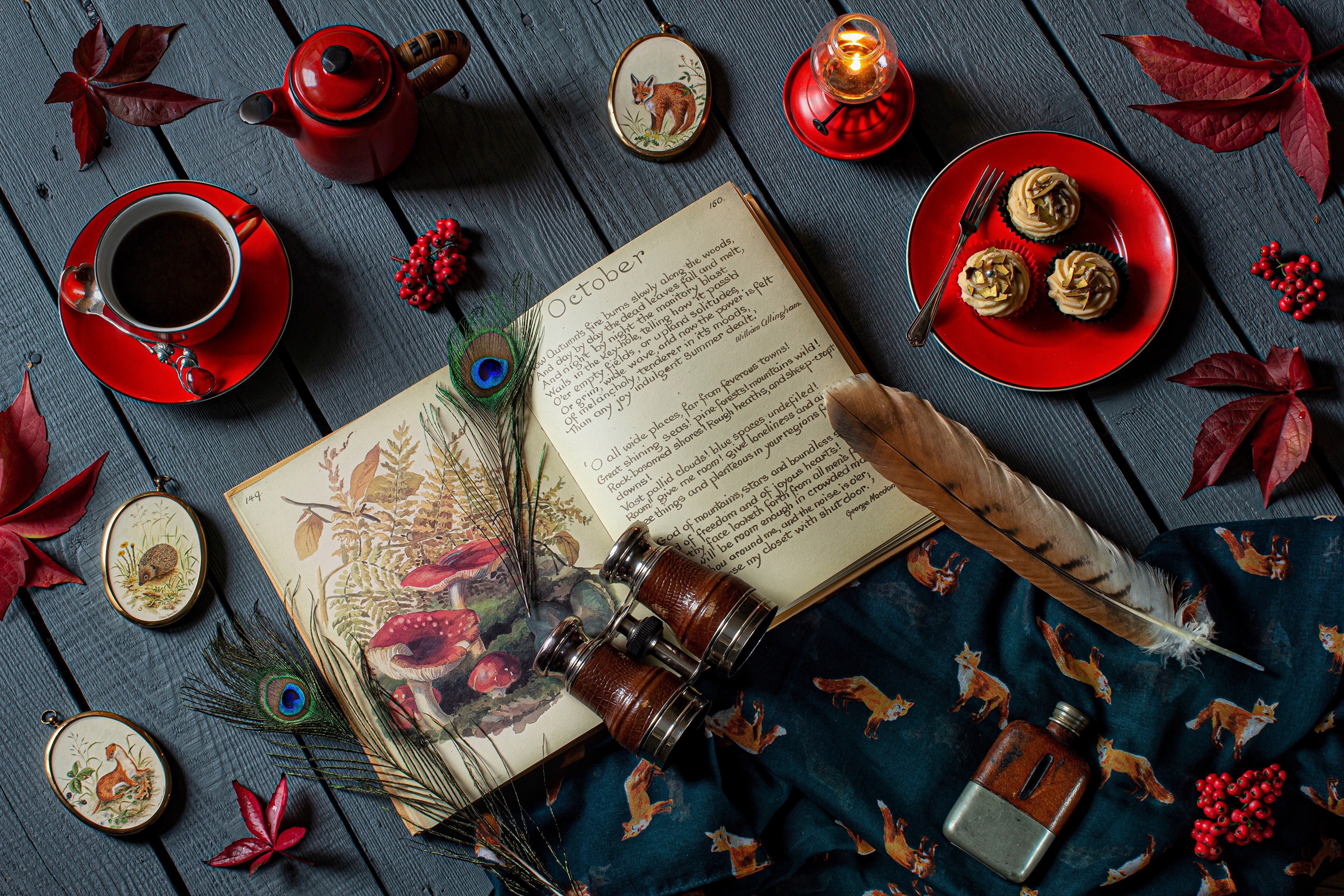 Autumn still life with book, tea, and cupcakes HD Wallpaper