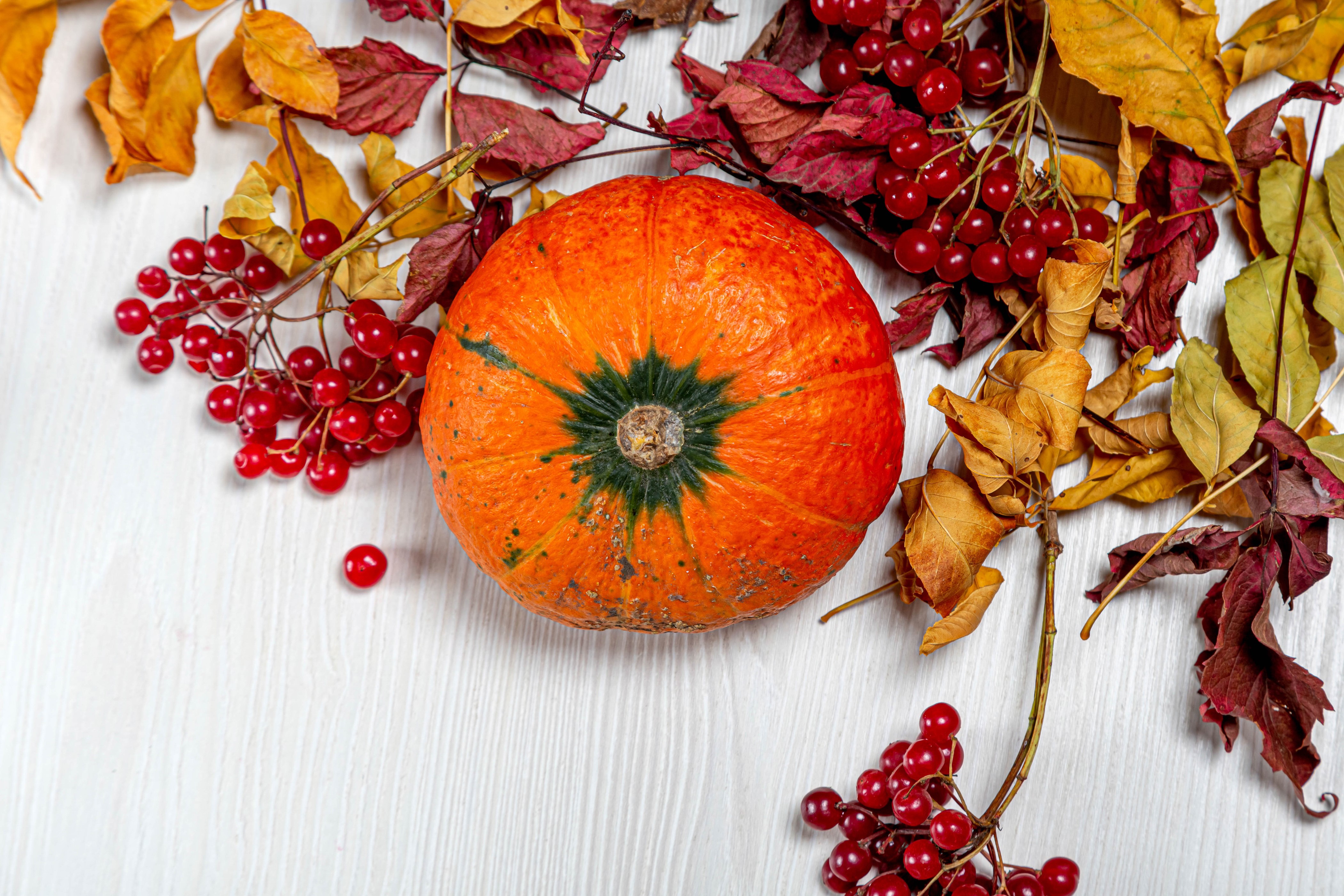 Pumpkin with Autumn Berries and Leaves HD Wallpaper