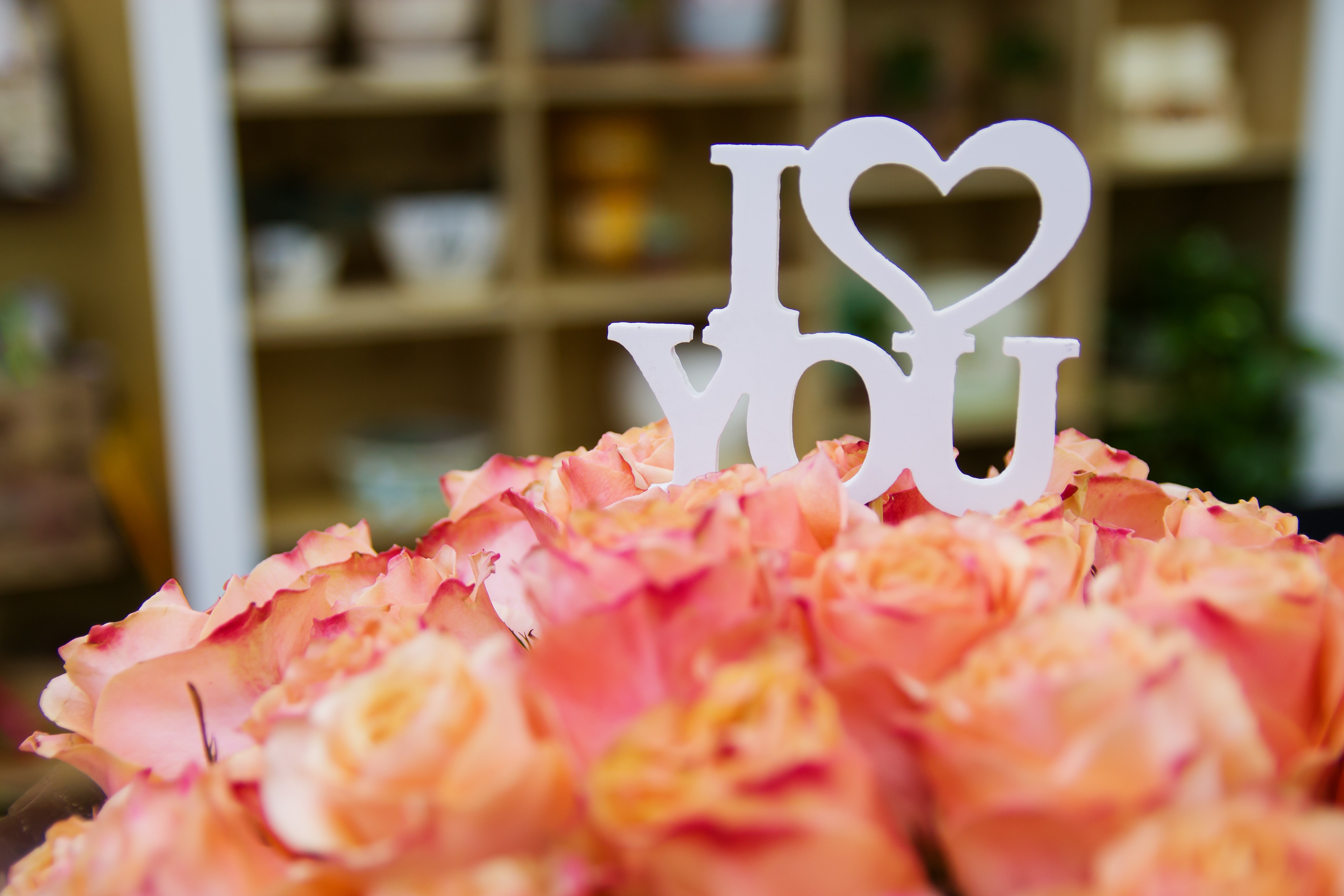 I Love You sign on a bouquet of roses HD Wallpaper