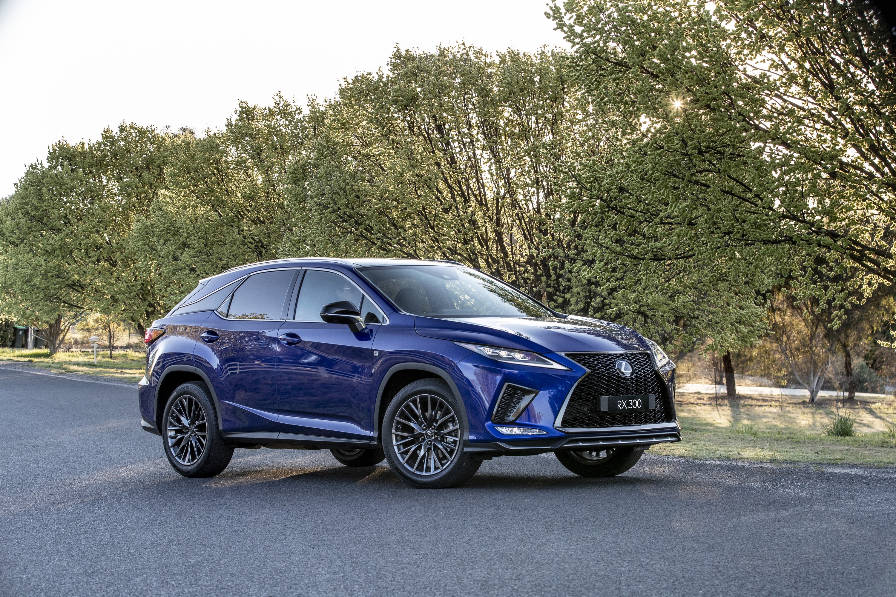 Blue 2019 Lexus RX 300 F SPORT HD Wallpaper