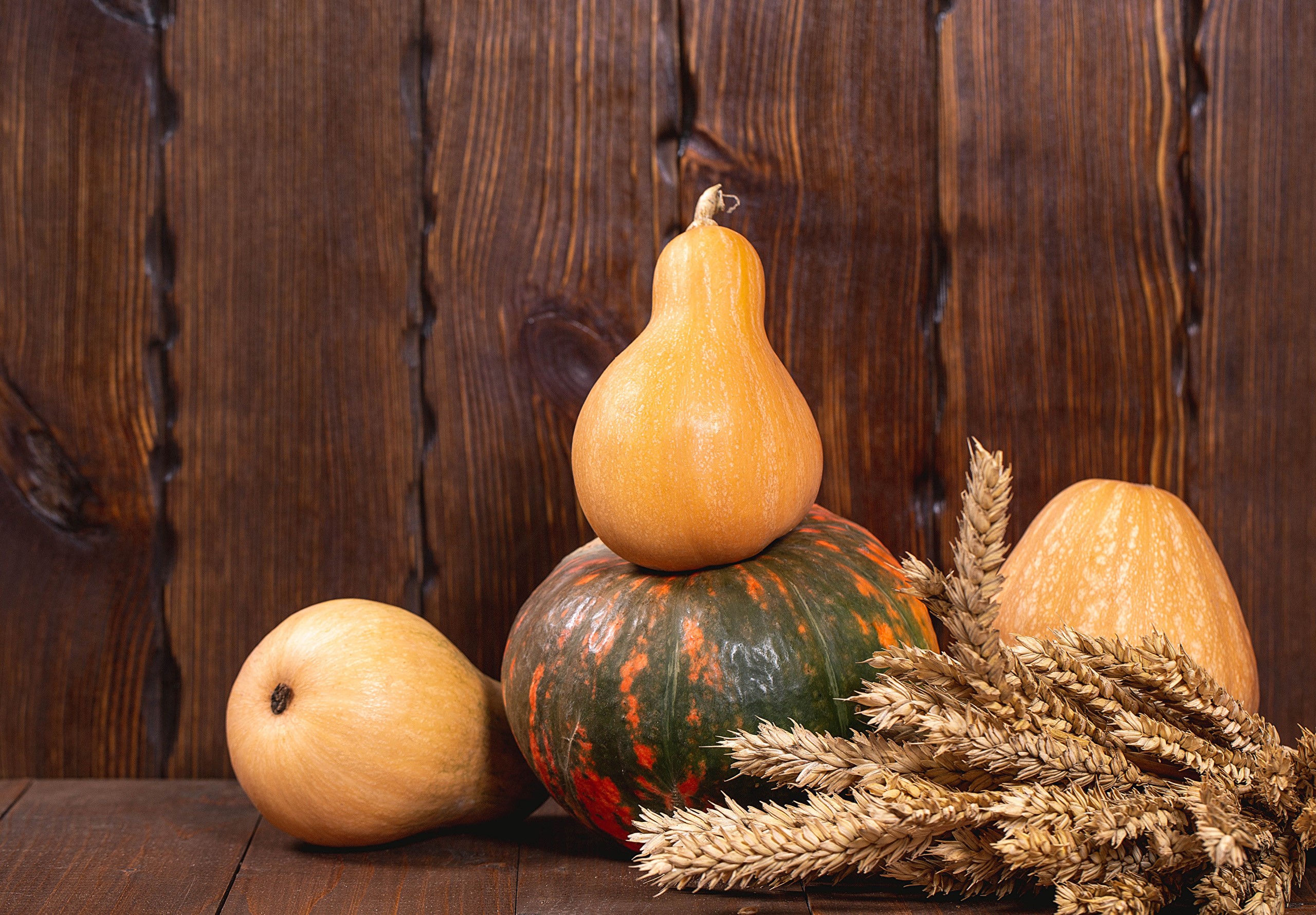 Autumn pumpkins and wheat on a wooden background HD Wallpaper