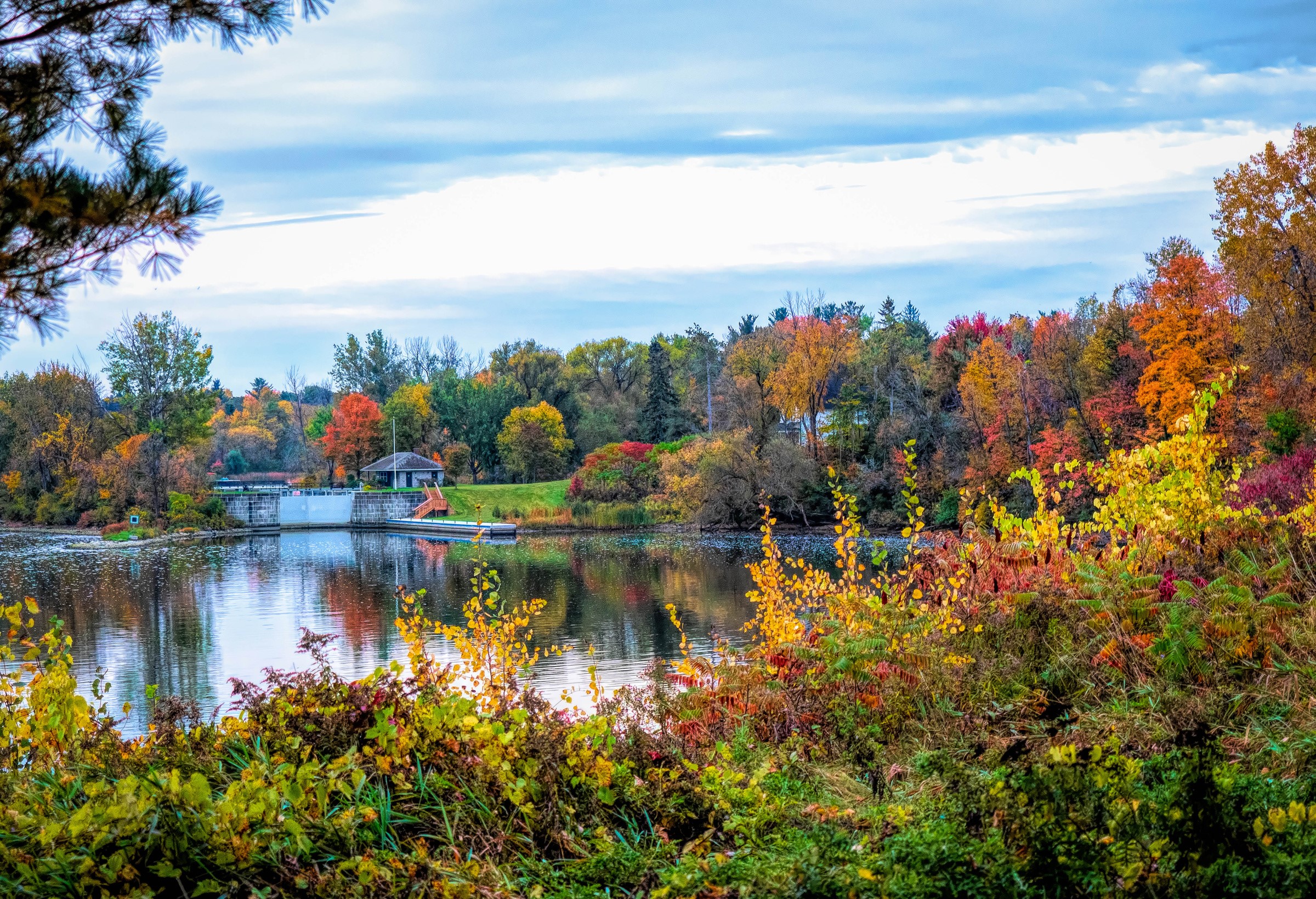 Autumn landscape with a river and trees in Canmore, Alberta, Canada HD Wallpaper