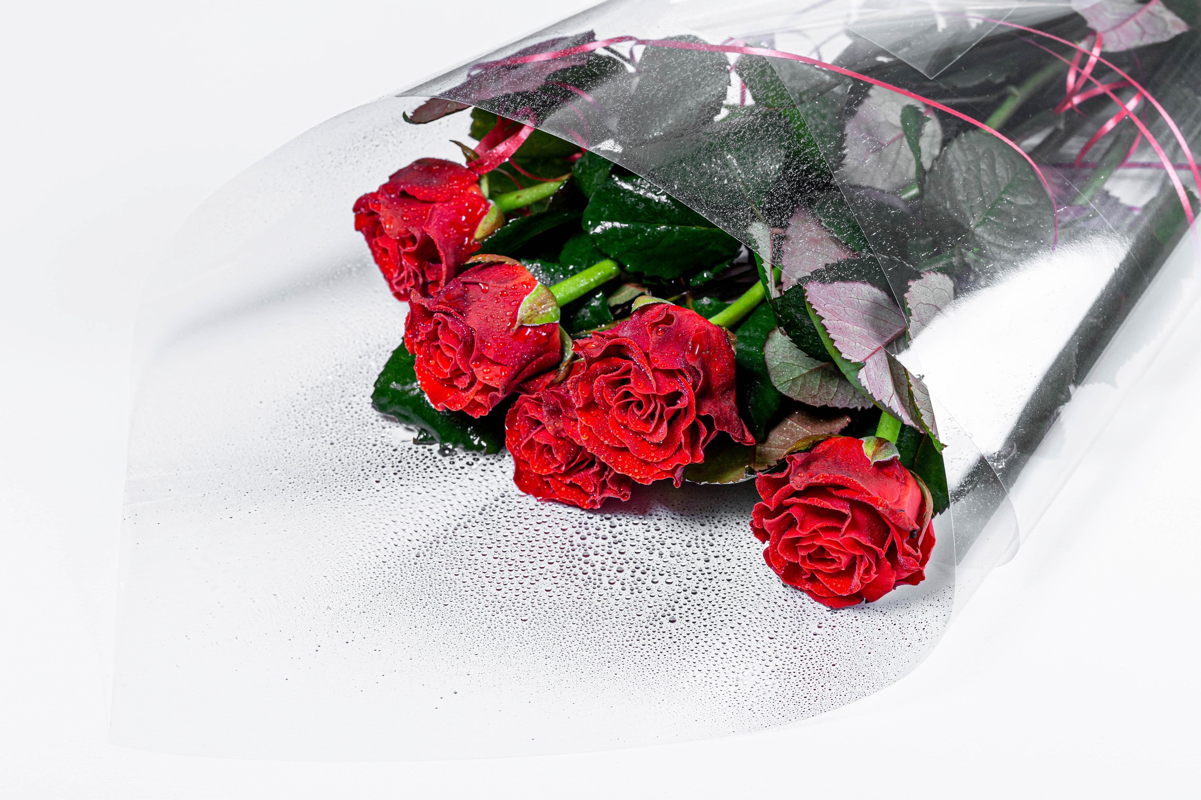 Bouquet of Red Roses on White Background HD Wallpaper