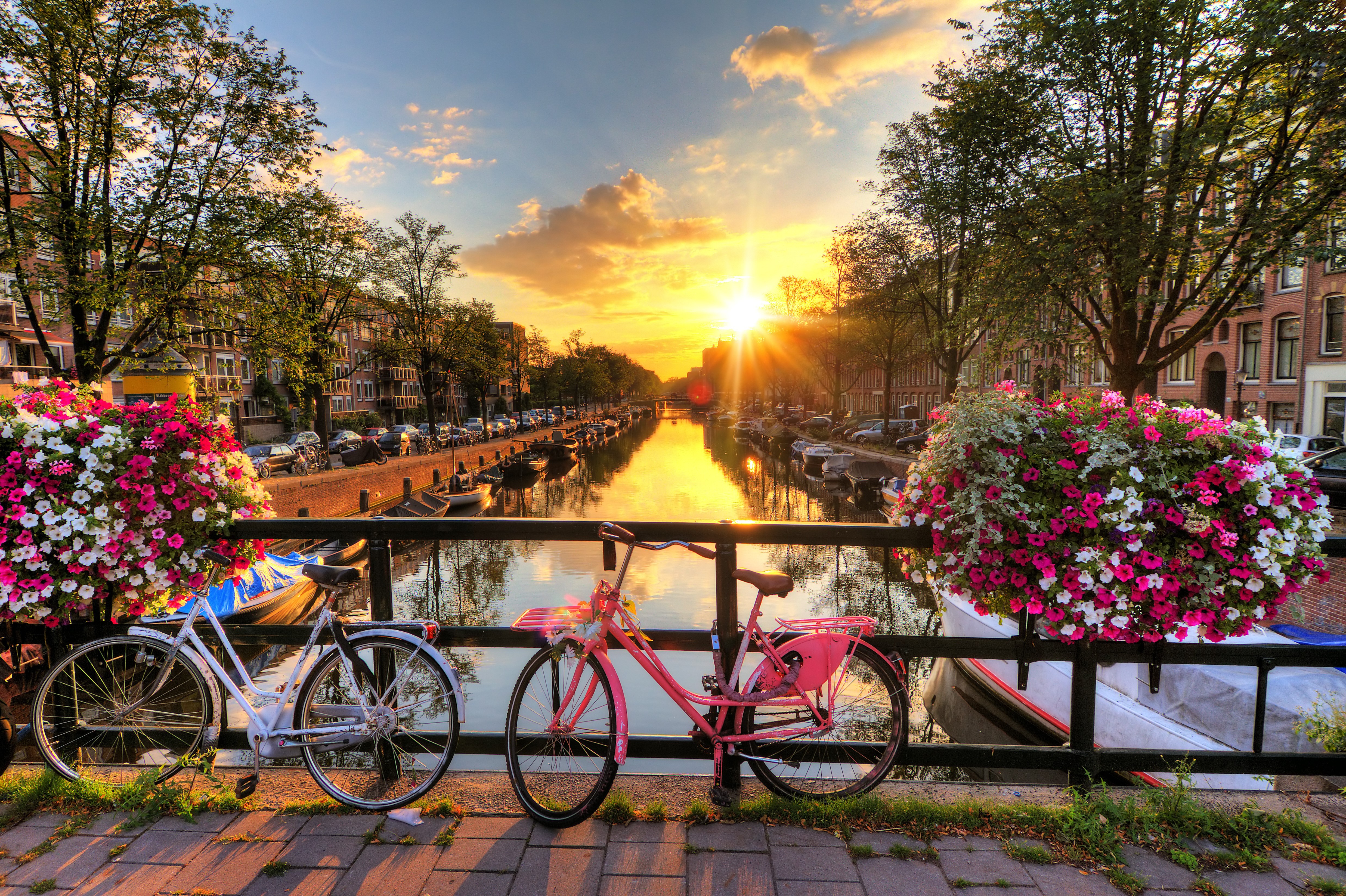 Amsterdam Canal at Sunset with Bicycles and Flowers HD Wallpaper