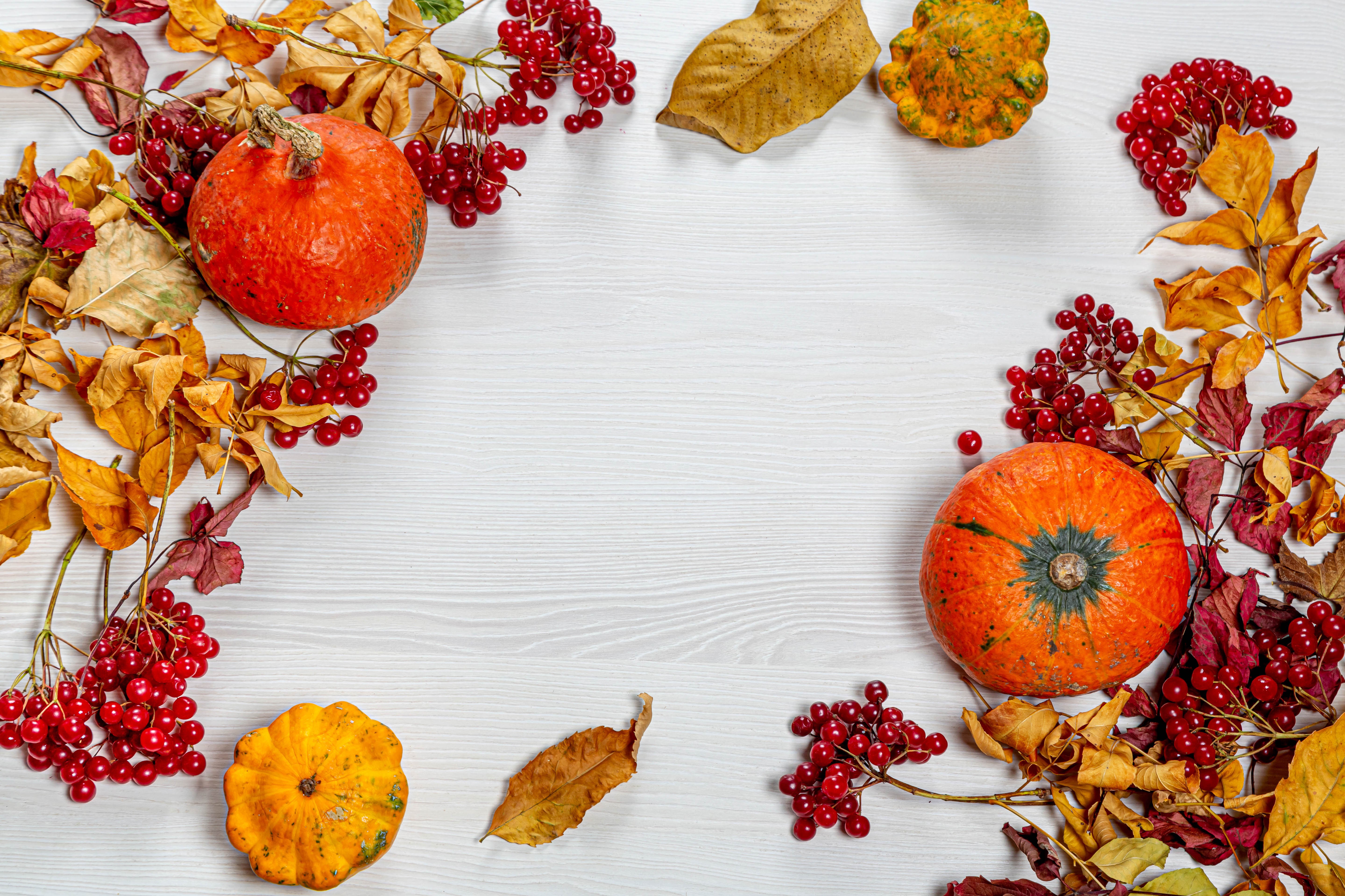 Autumn pumpkins and berries on a white wooden table HD Wallpaper