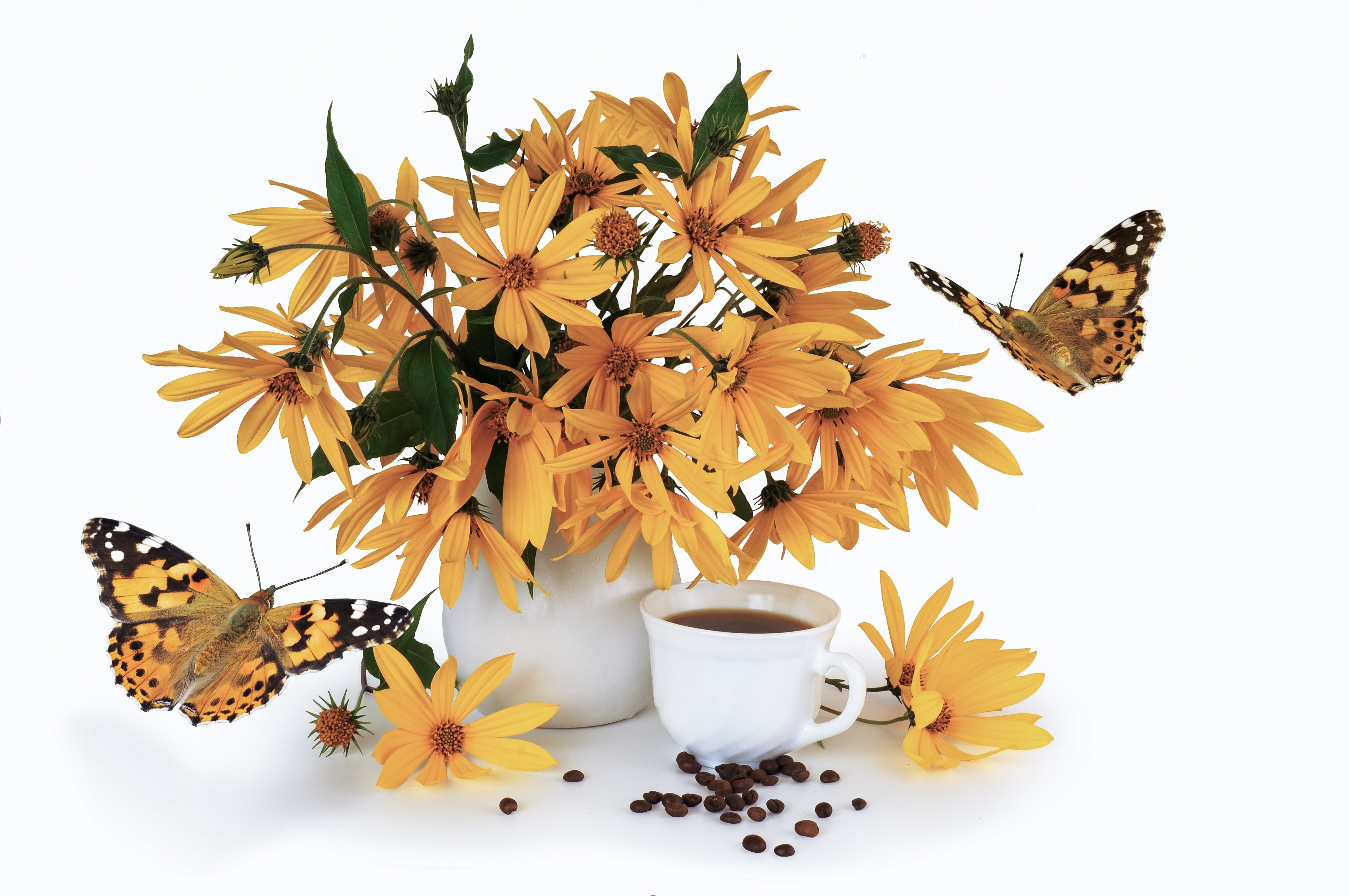 Jerusalem artichoke flowers in a vase with coffee and butterflies HD Wallpaper