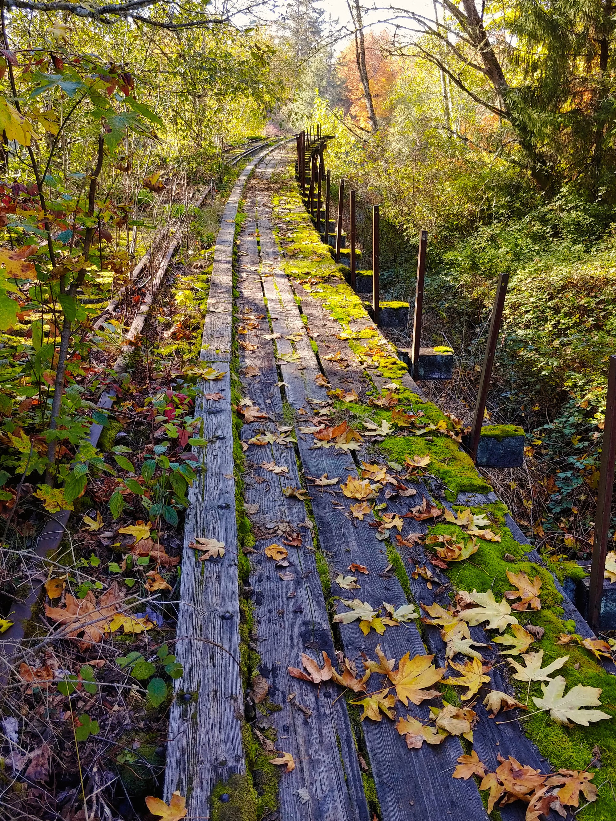 Abandoned railroad bridge in autumn foliage HD Phone Wallpaper