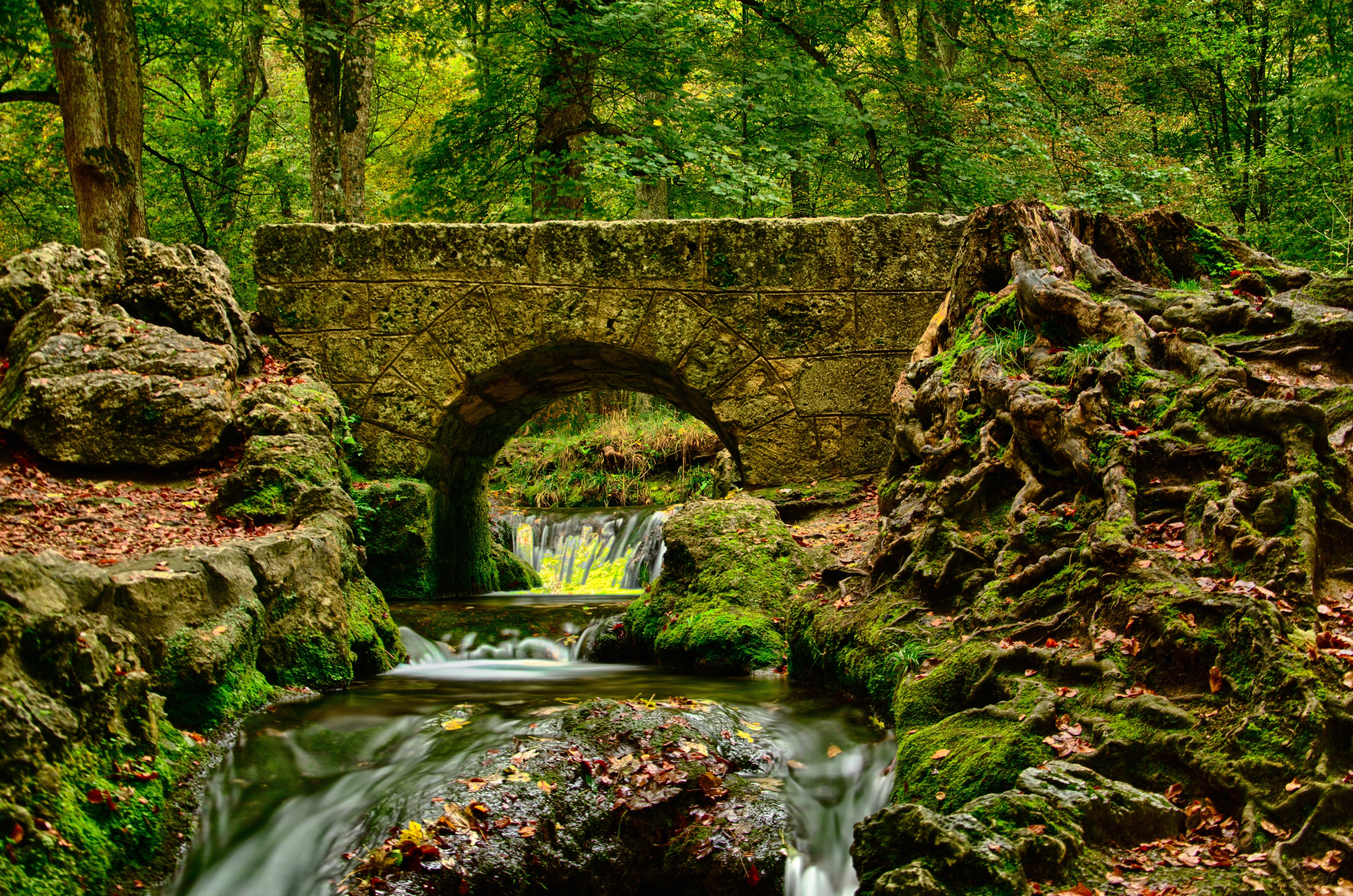 Stone bridge over a stream in an autumn forest HD Wallpaper