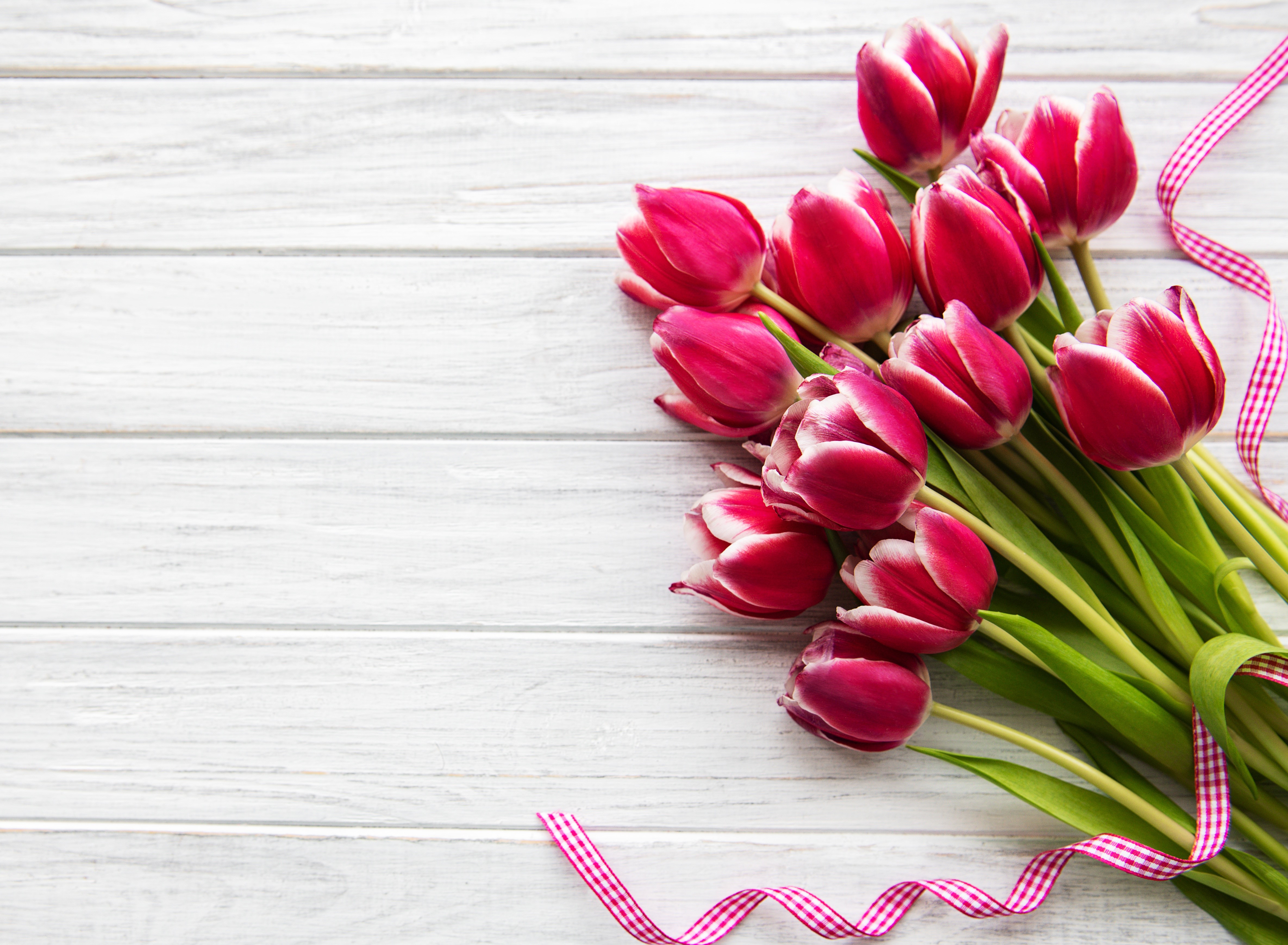 Red tulips with ribbon on wood planks HD Wallpaper