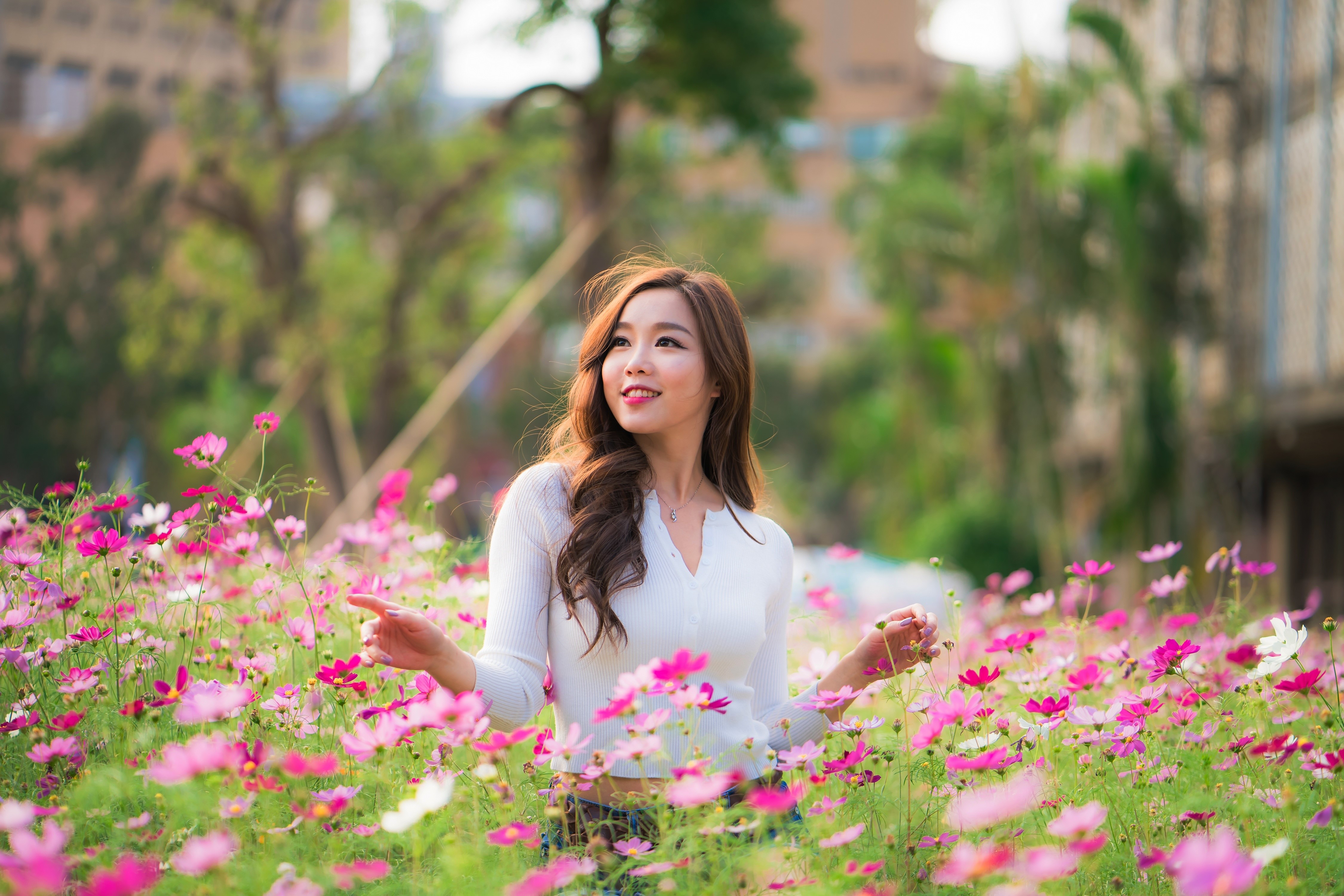 Asian woman in a field of cosmos flowers HD Wallpaper