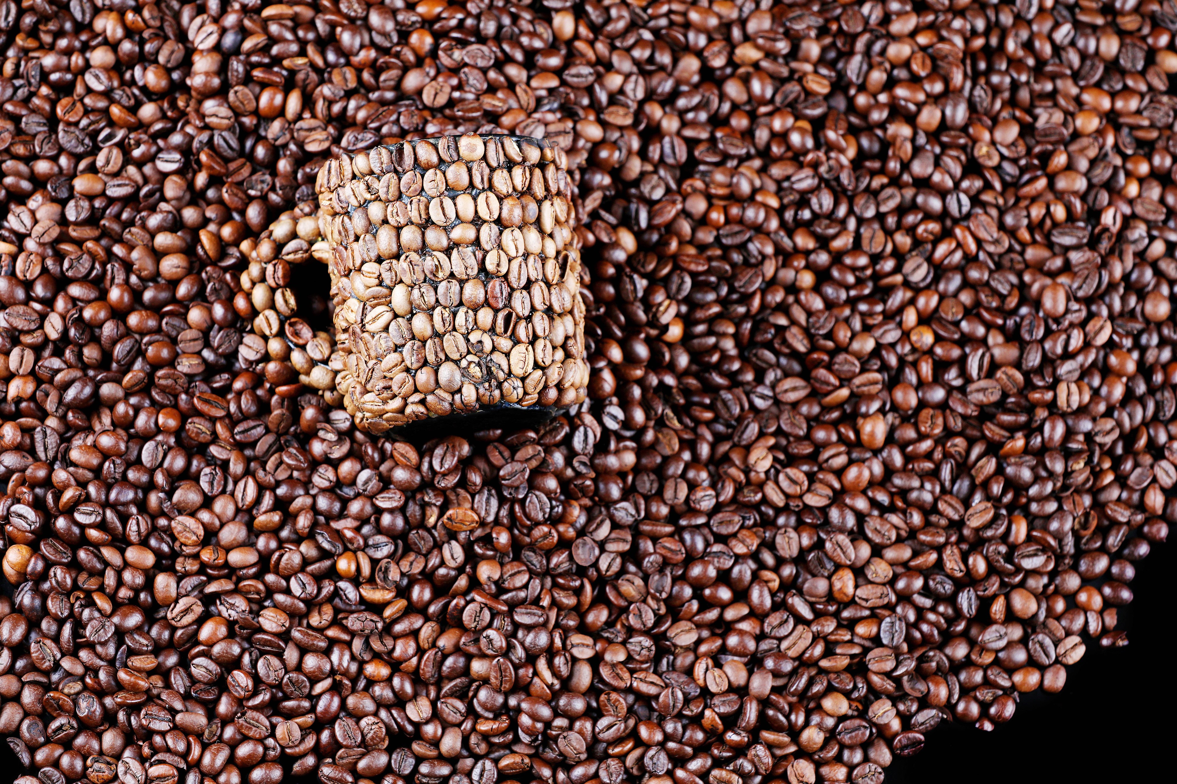 4K Coffee Mug Made of Coffee Beans HD Wallpaper