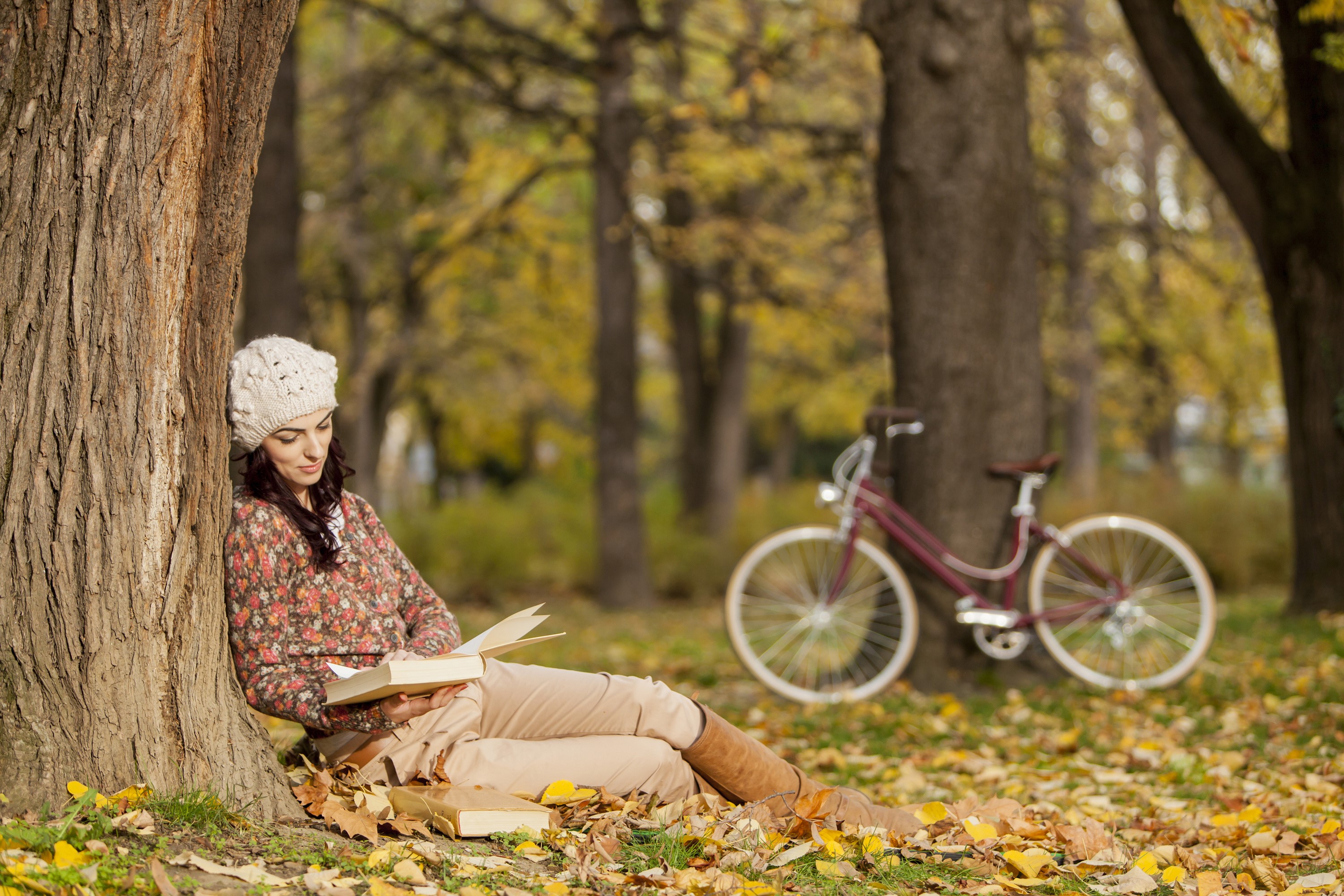 Woman reading a book under a tree in autumn HD Wallpaper