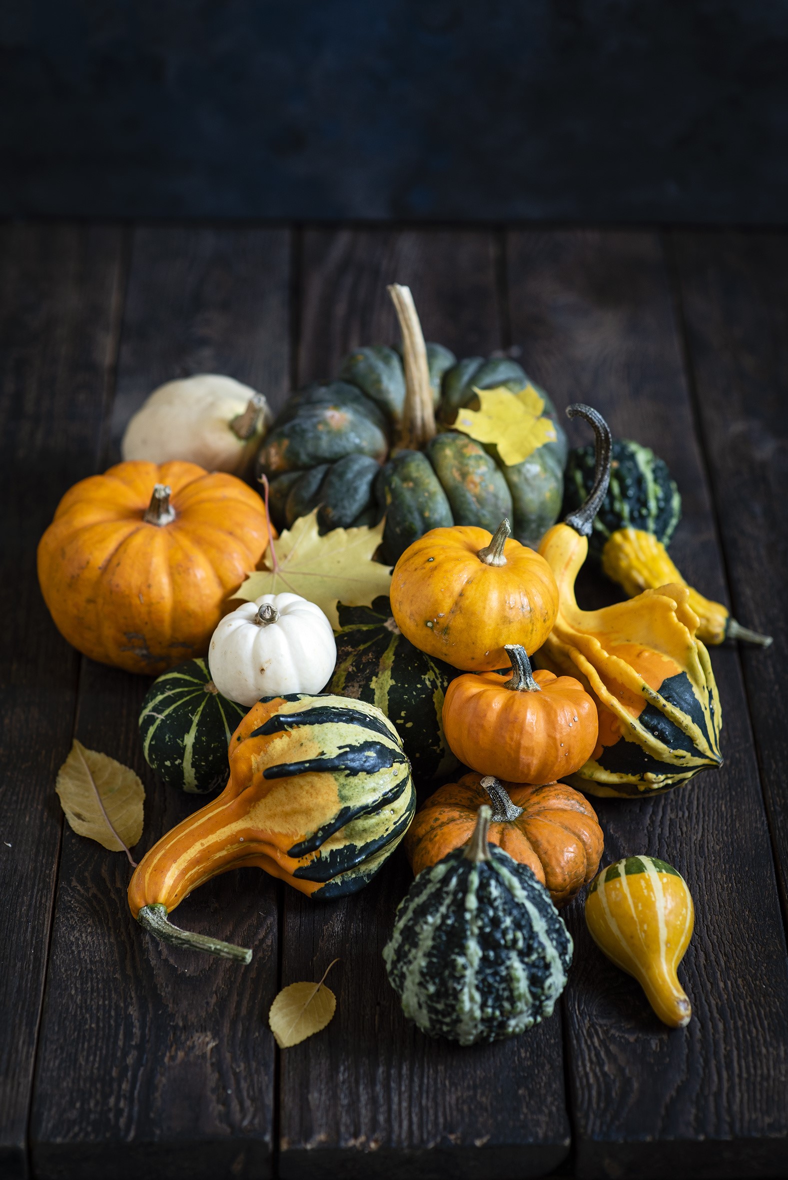 Assortment of pumpkins and gourds on wooden planks HD Phone Wallpaper