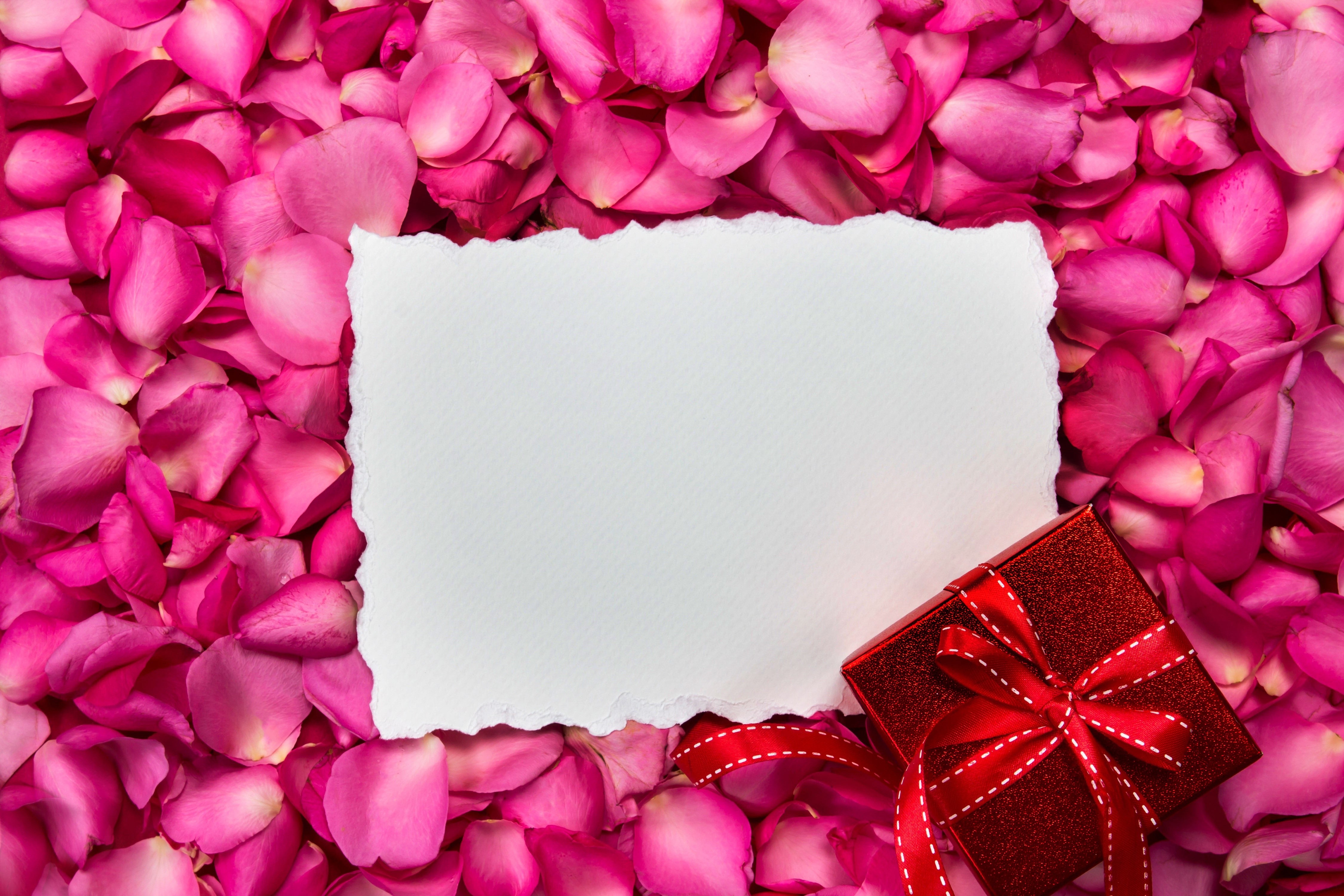 Rose Petals with Gift and Blank Card HD Wallpaper