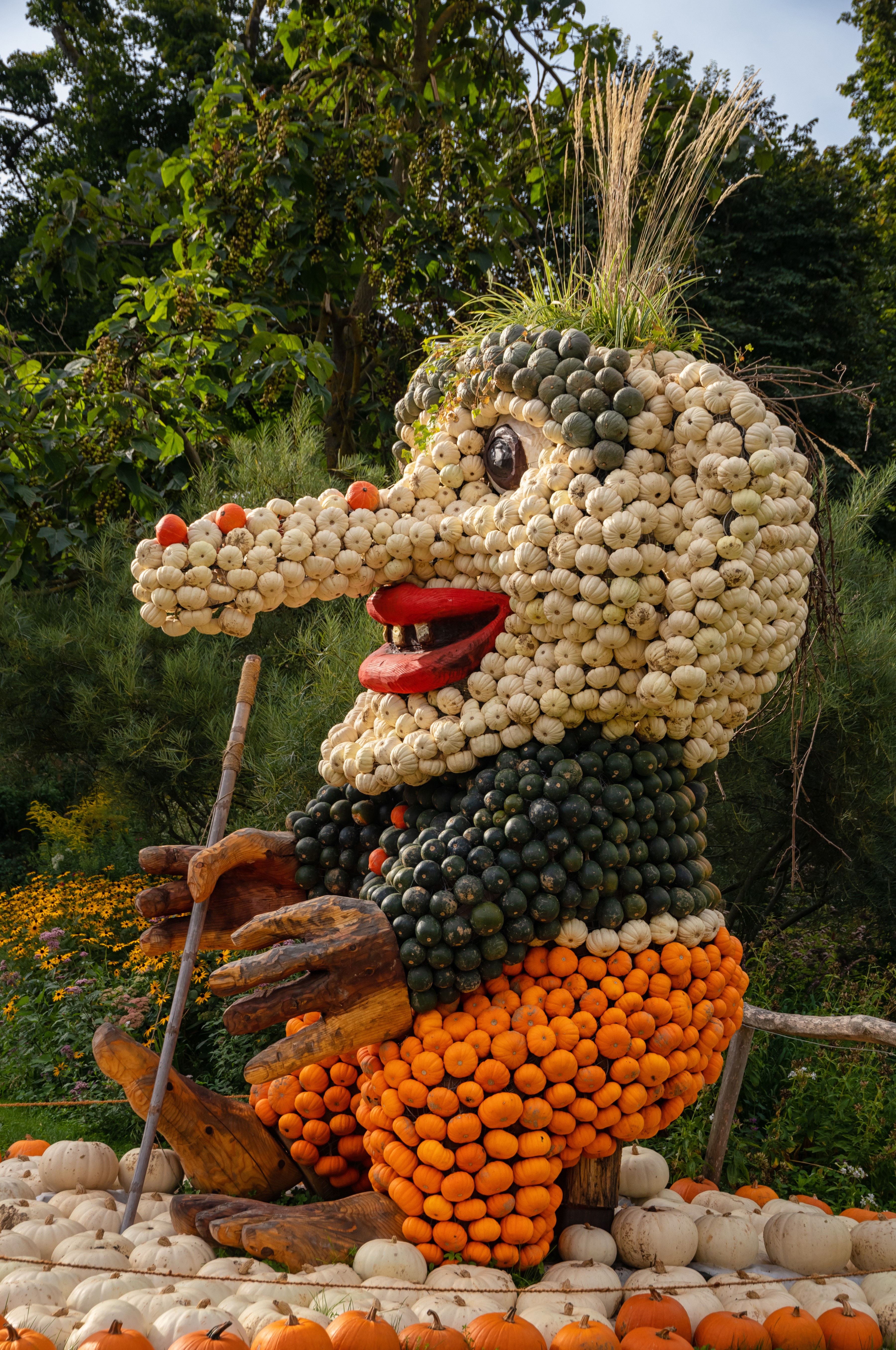 Pumpkin Sculpture of an Old Man at Ludwigsburg Pumpkin Festival HD Phone Wallpaper