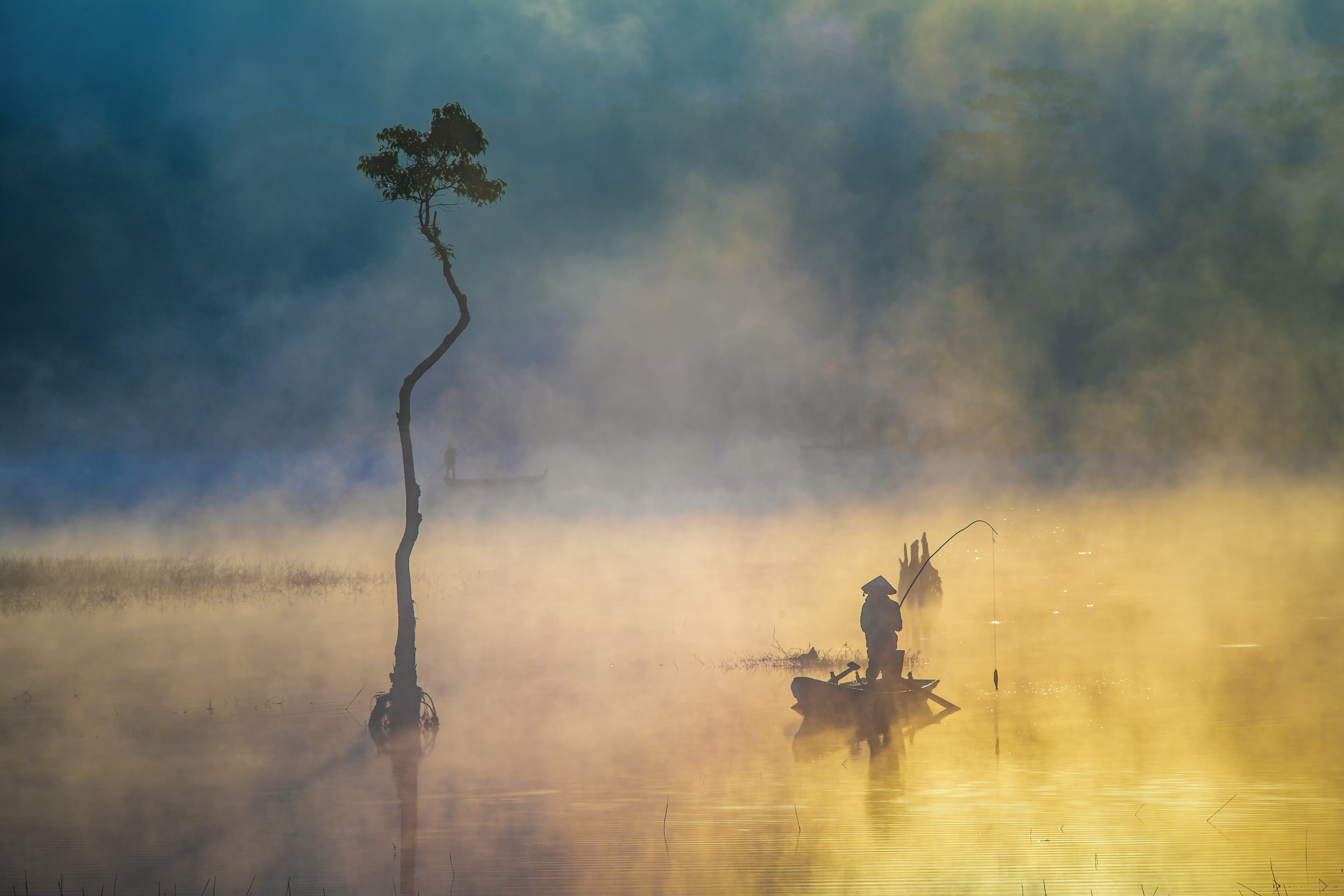 Fisherman in a boat on a foggy lake with a tree HD Wallpaper