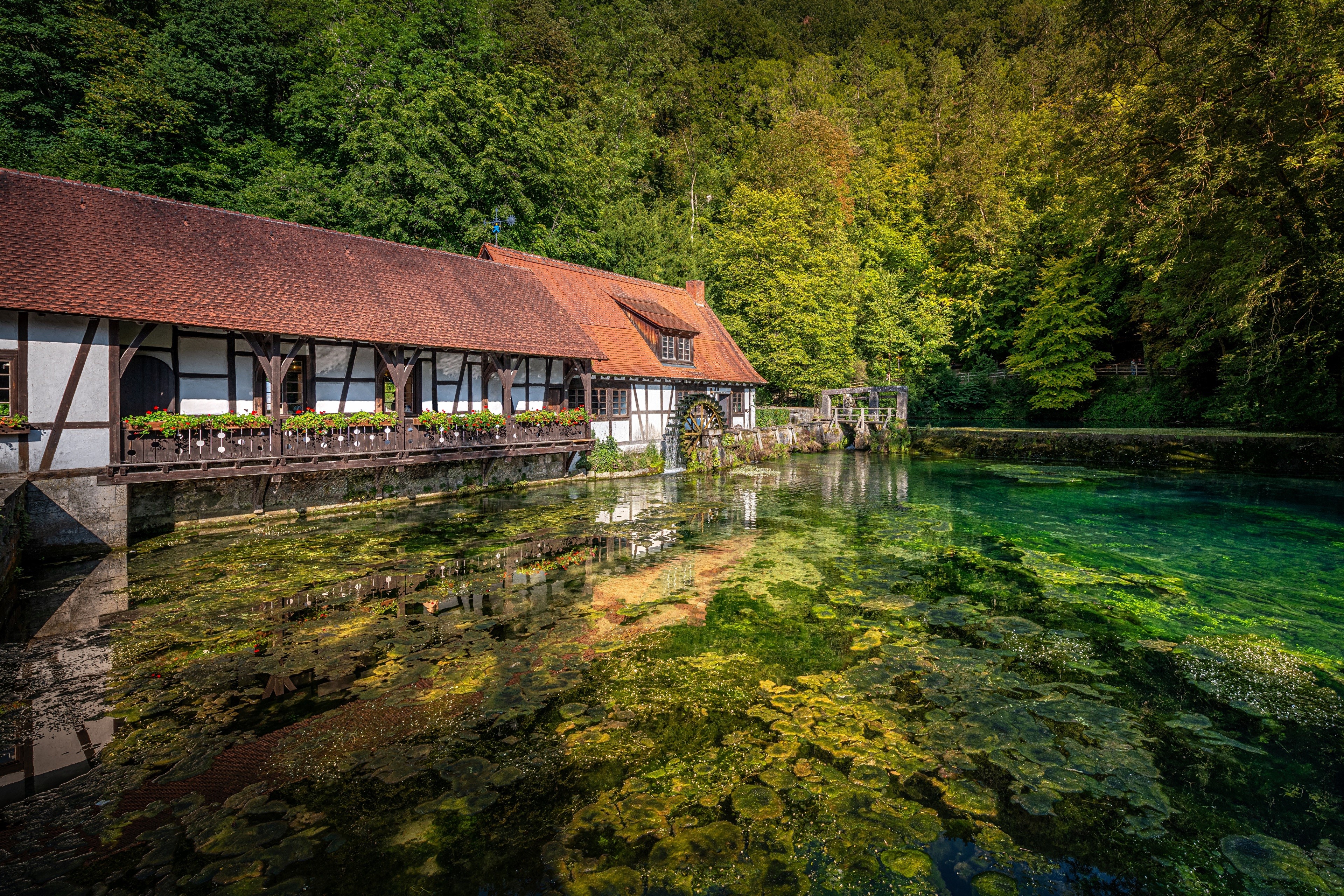 Watermill by a clear pond in Germany HD Wallpaper