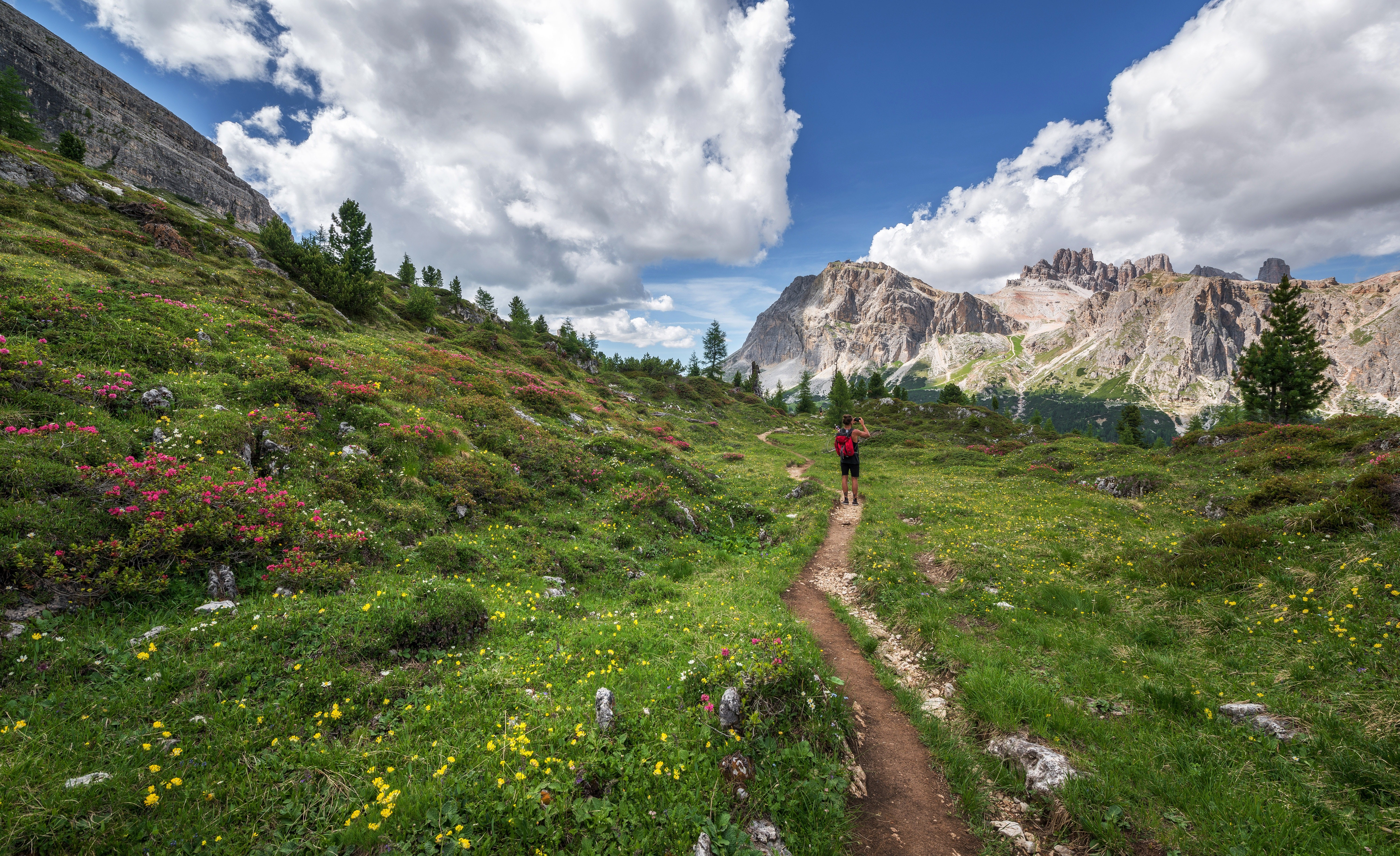 Tourist walking on a mountain trail with flowers HD Wallpaper