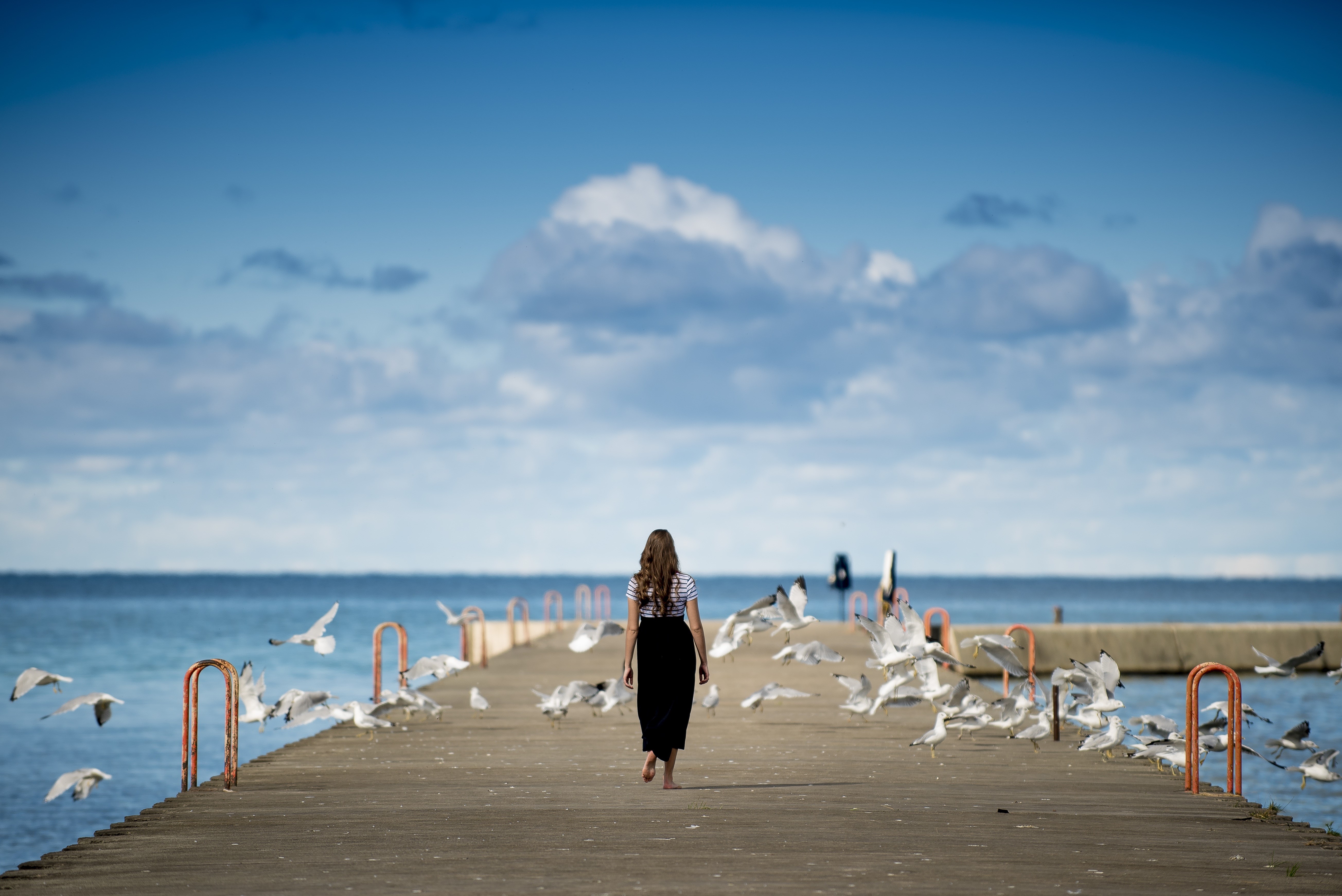 Woman walking on pier with seagulls HD Wallpaper