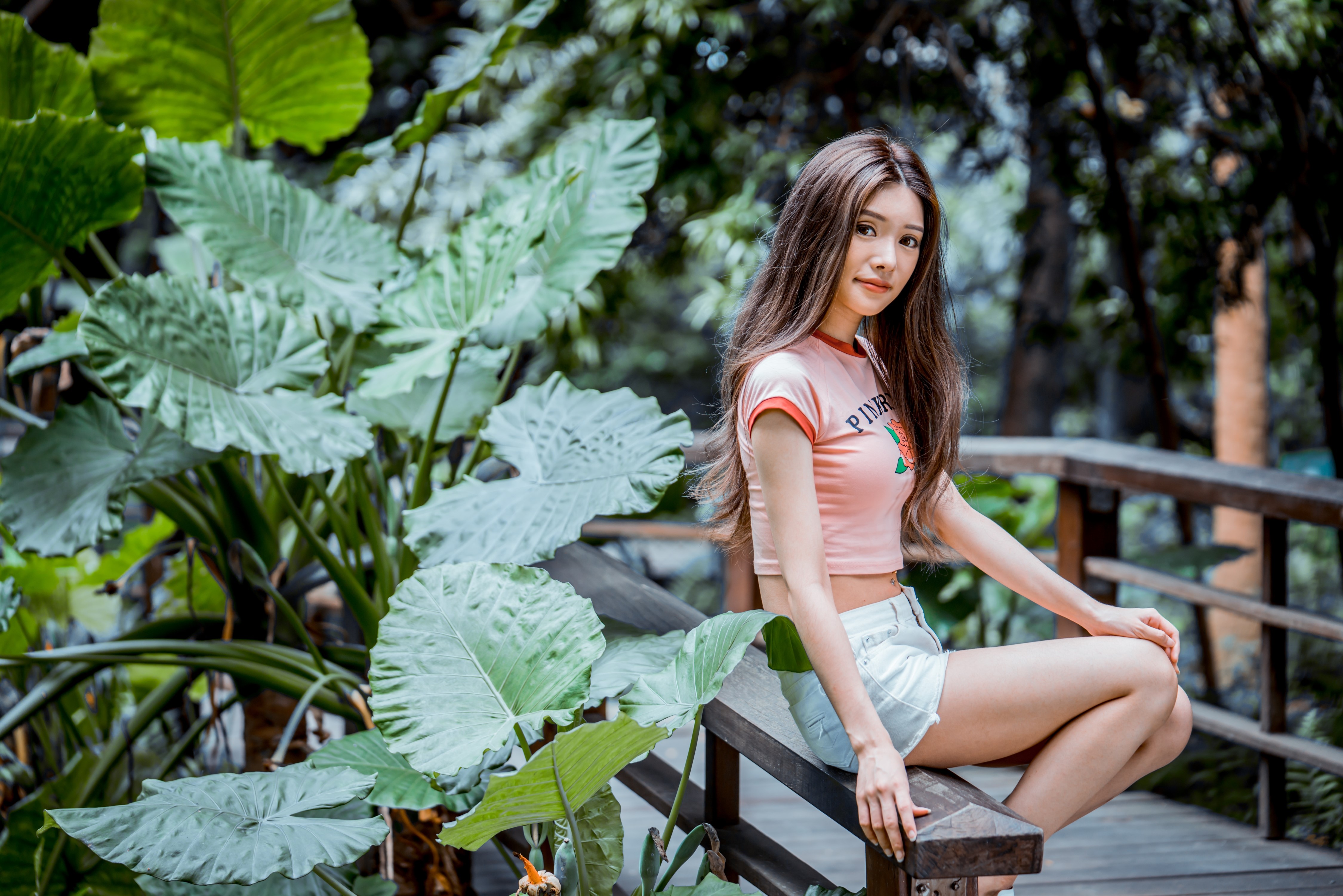 Asian woman sitting on a wooden bench near foliage HD Wallpaper