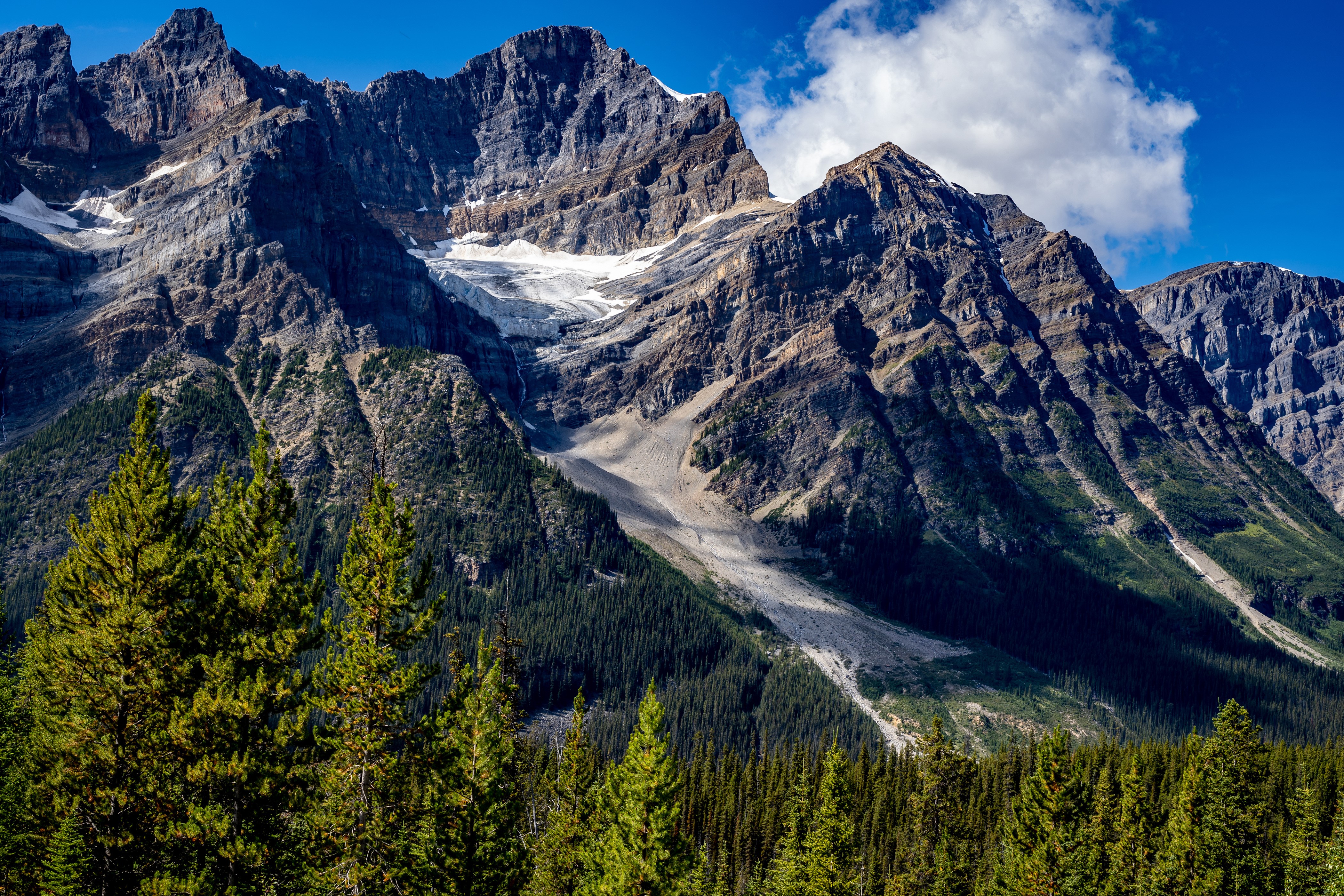 4K Mountains and Forests in Banff National Park, Canada HD Wallpaper