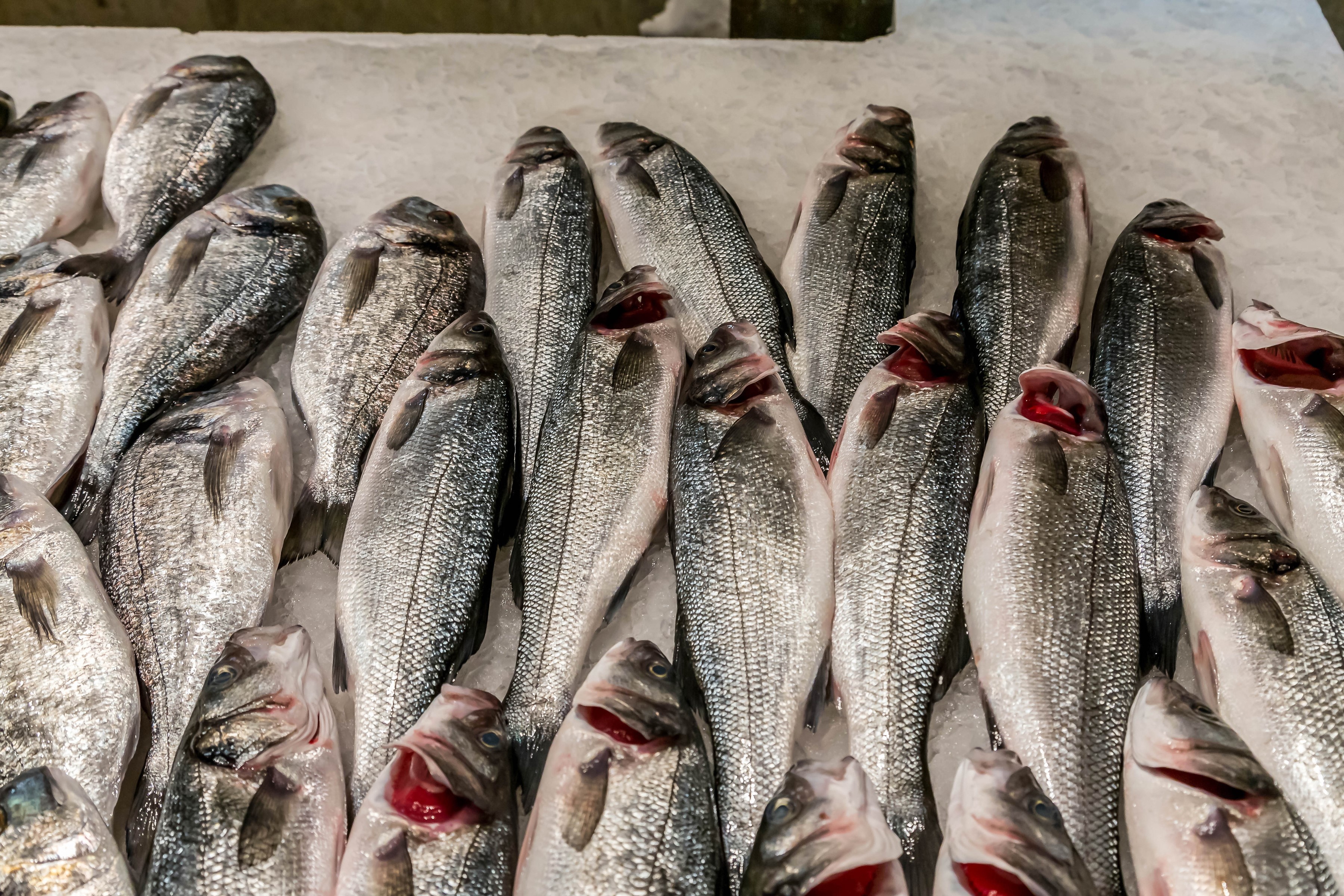 Fresh fish on ice at a market HD Wallpaper