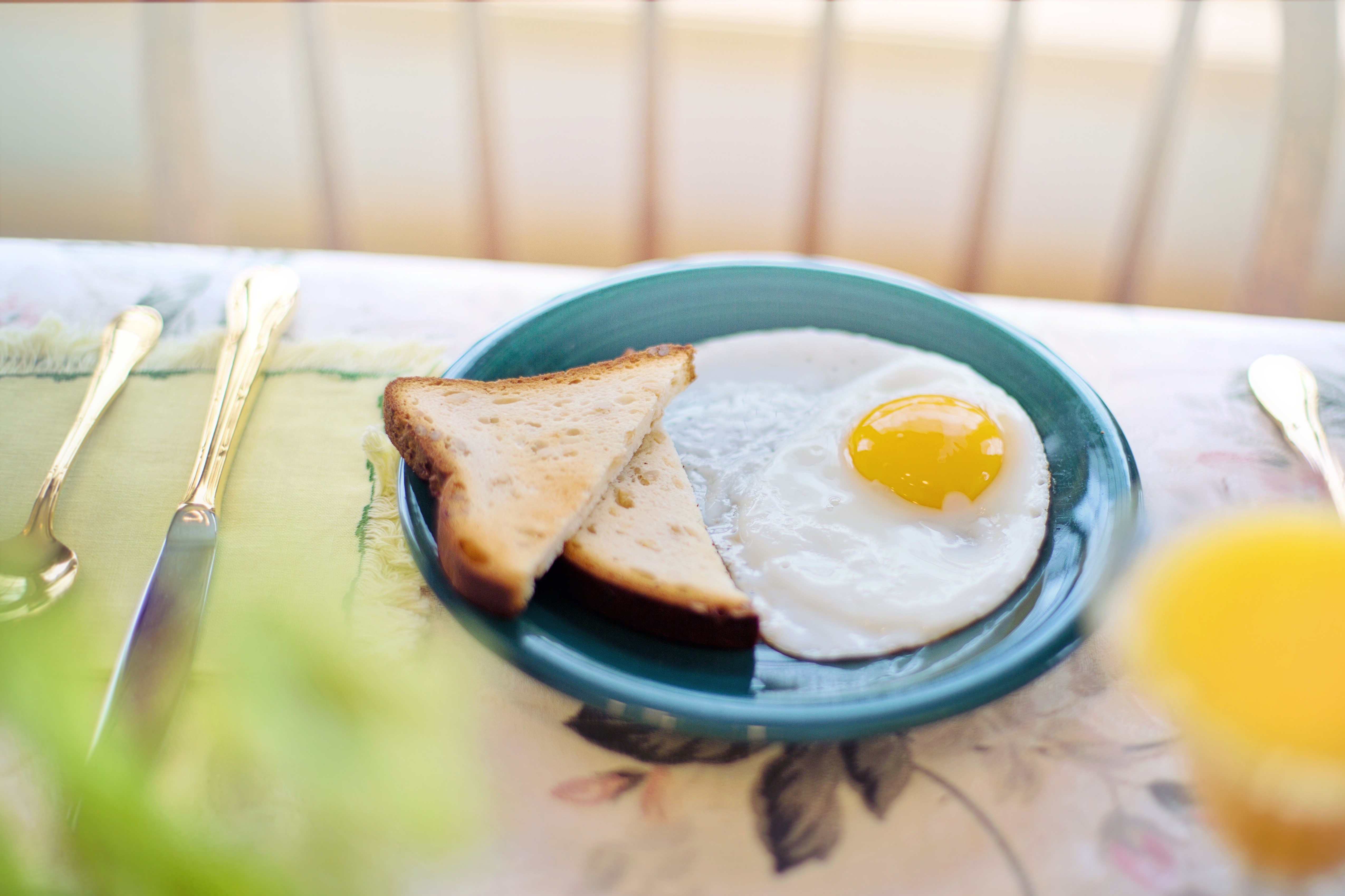 Fried egg with toast on a plate HD Wallpaper