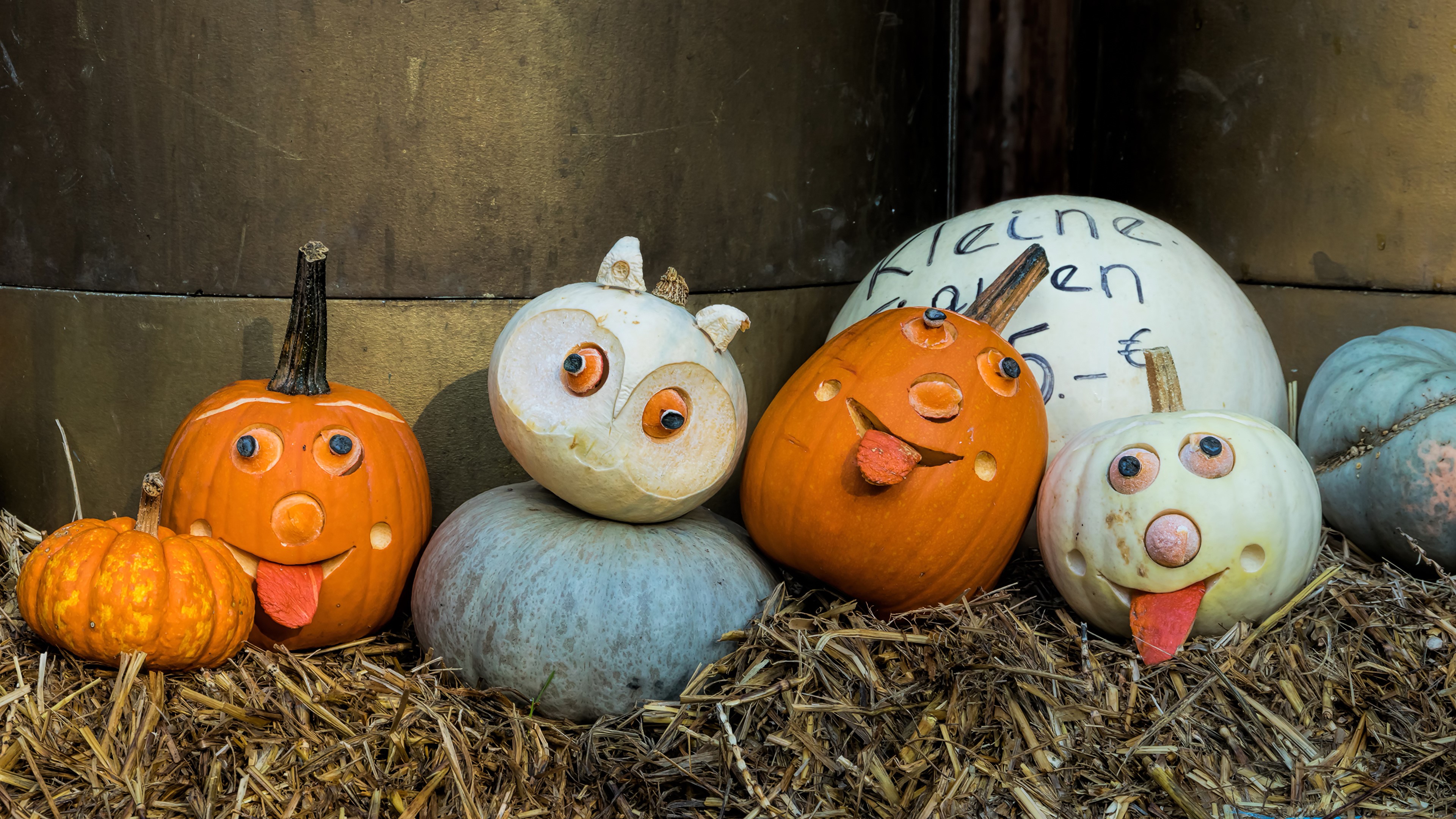 4K Ludwigsburg Pumpkin Festival Germany HD Wallpaper