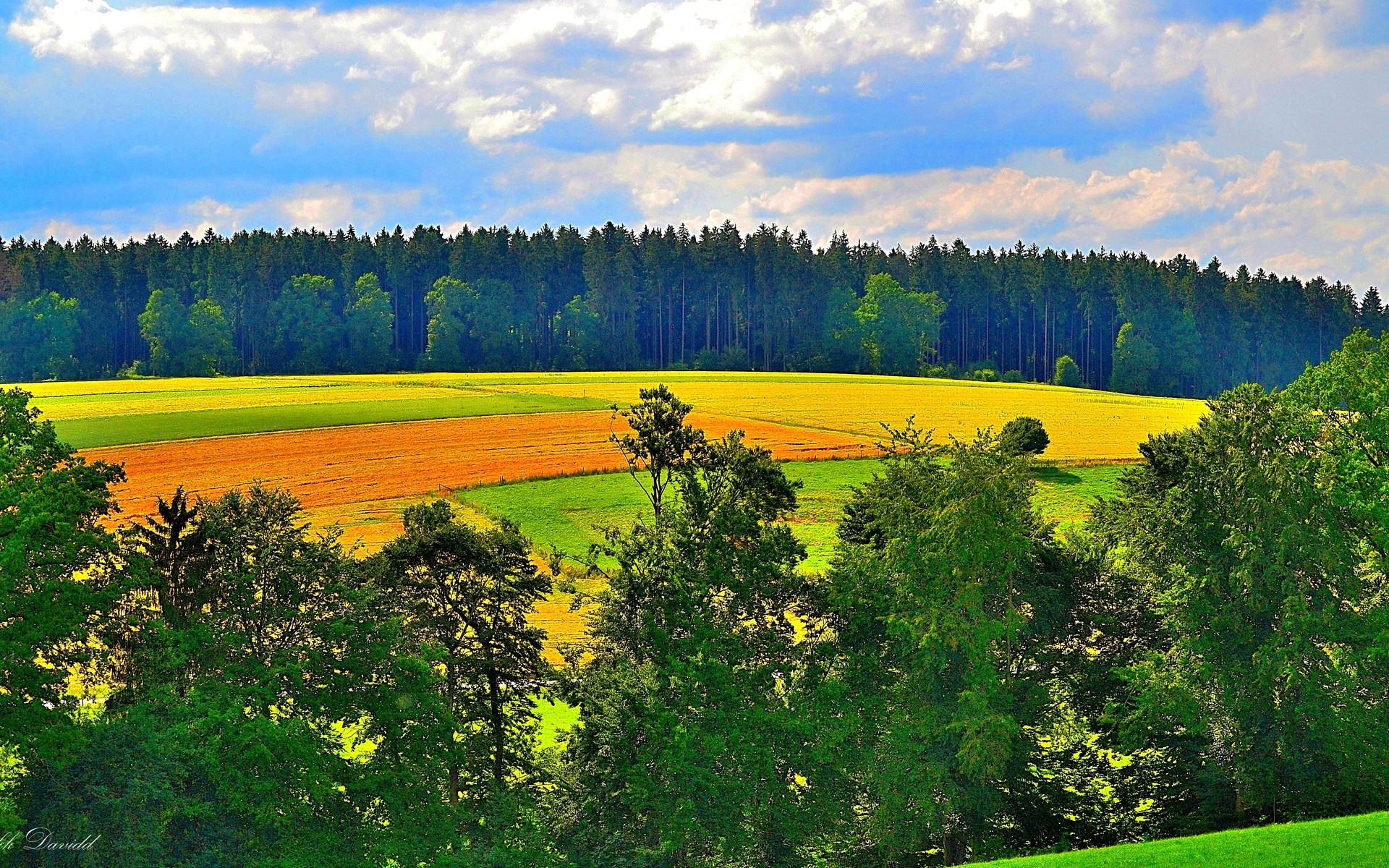 Agricultural fields and forest under a cloudy sky HD Wallpaper