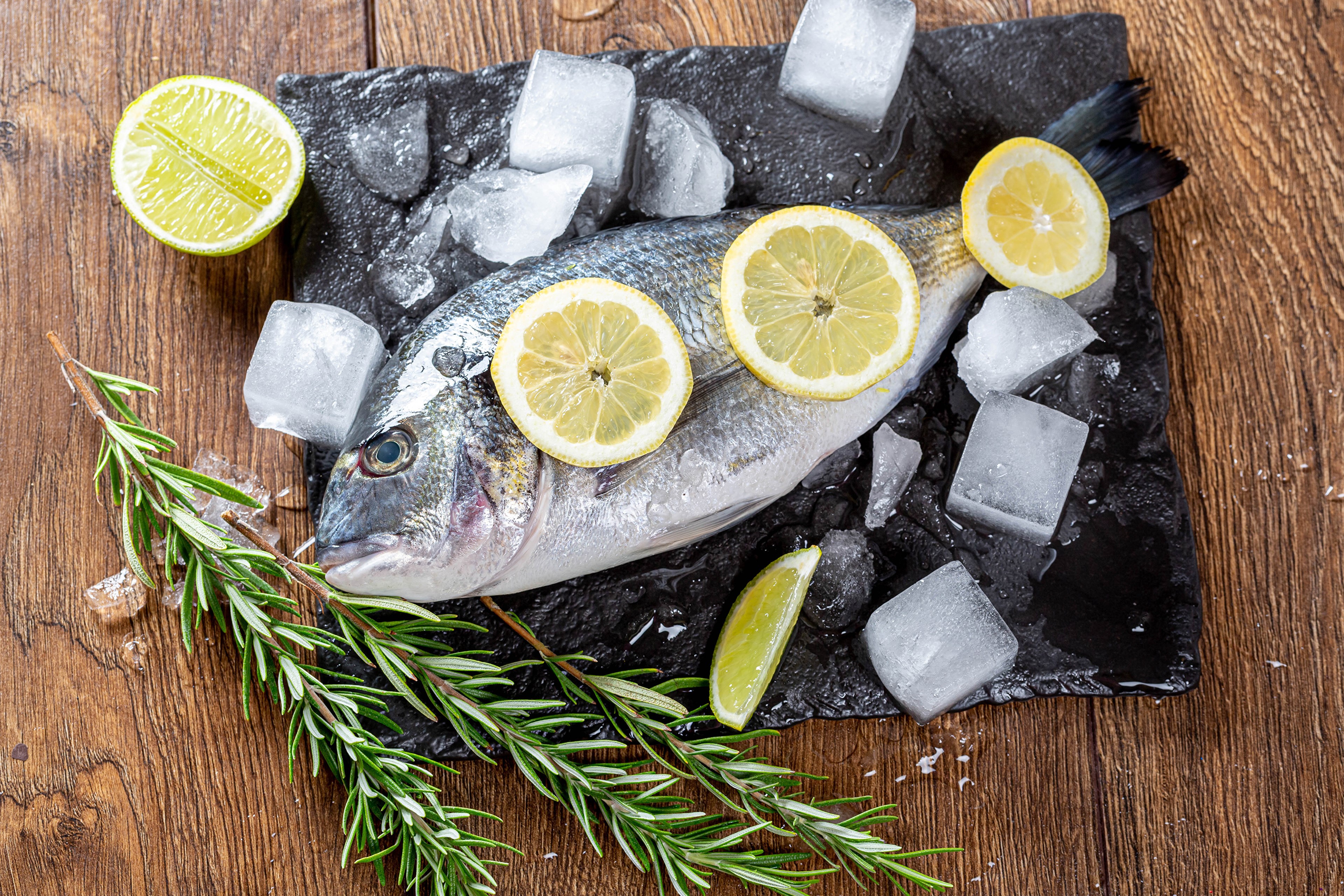 Fresh fish with lemon slices and rosemary on ice HD Wallpaper