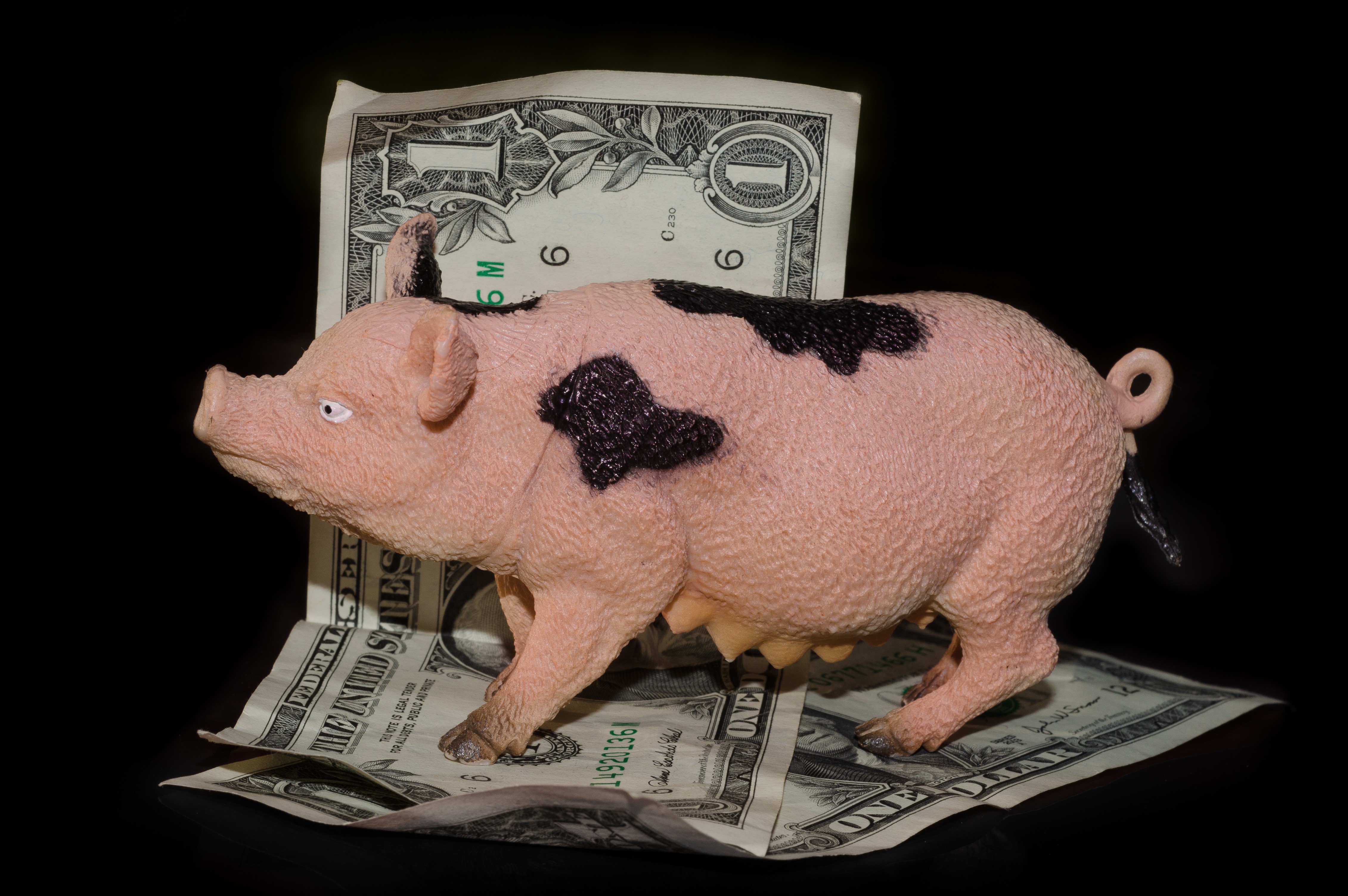 Piggy bank on US dollar banknotes HD Wallpaper