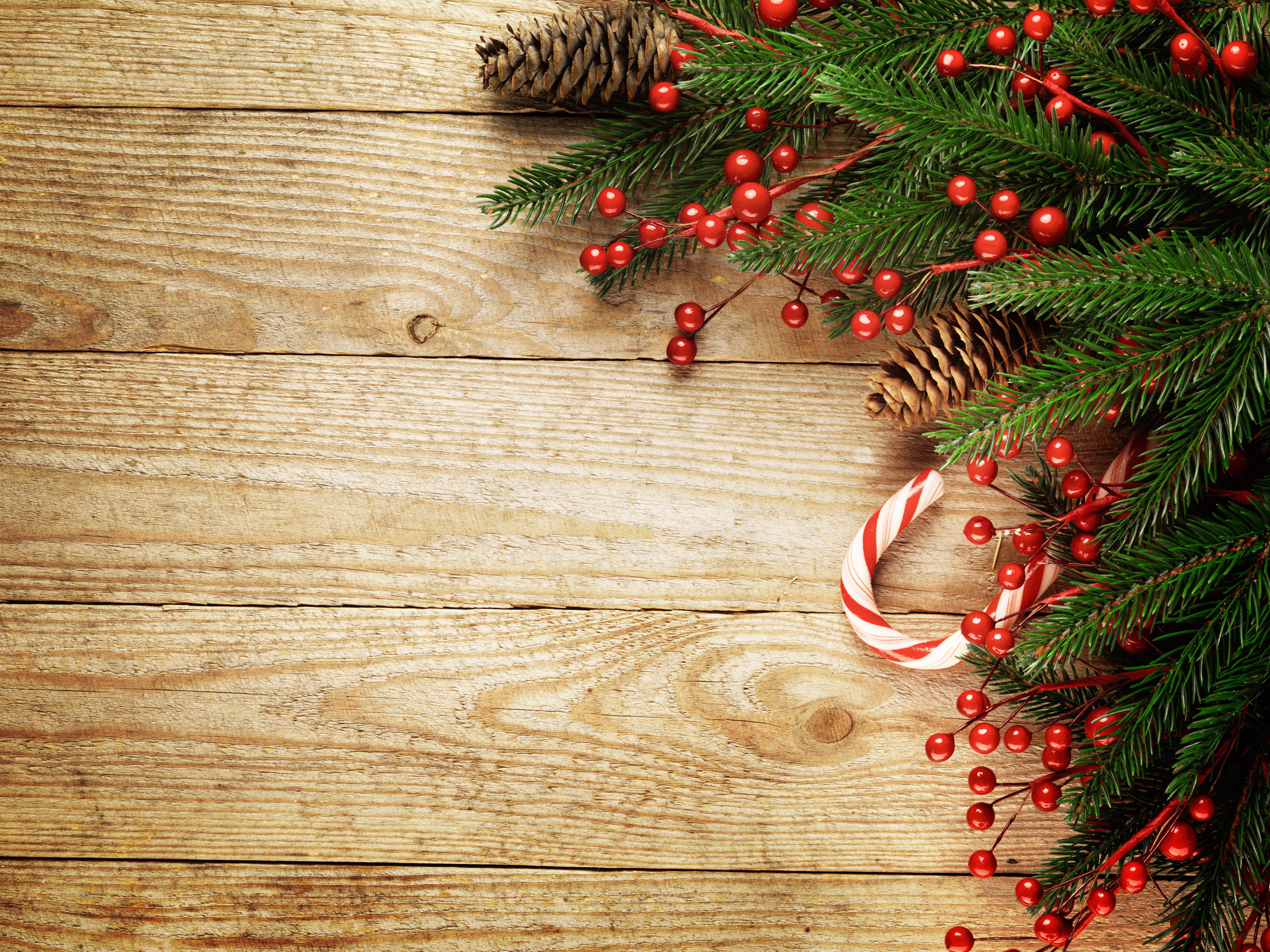 Christmas Branches with Berries and Pine Cones on Wood HD Wallpaper