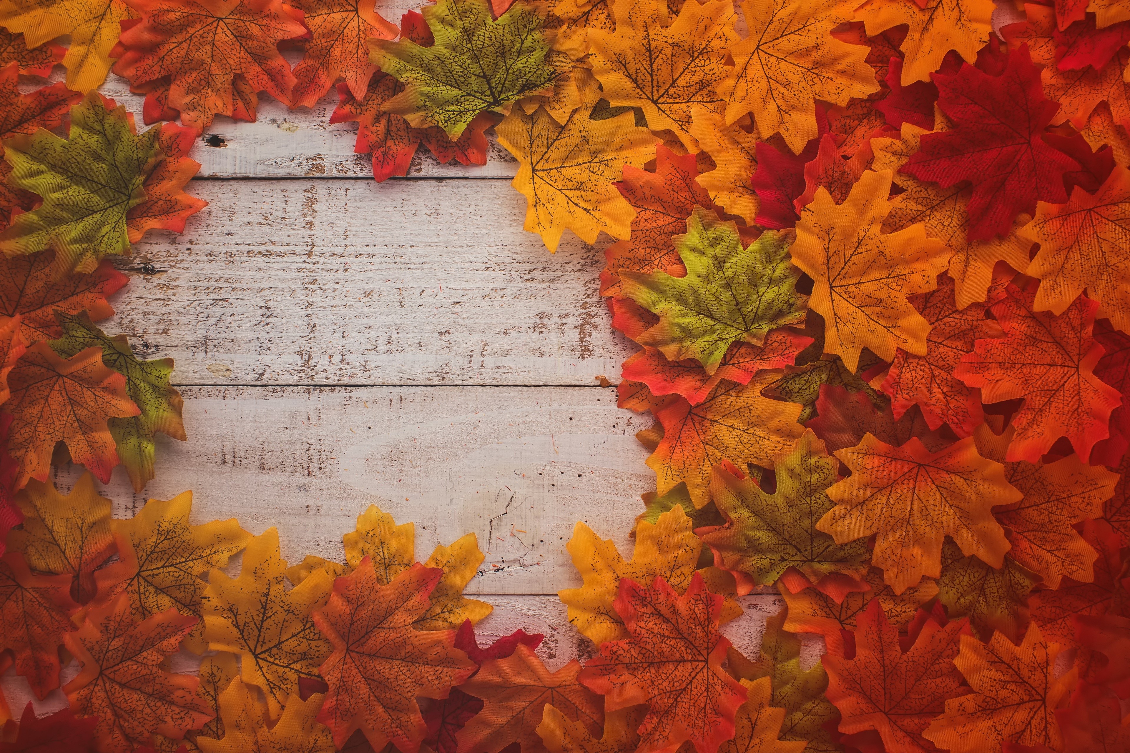 Autumn Maple Leaves on Wood Planks HD Wallpaper