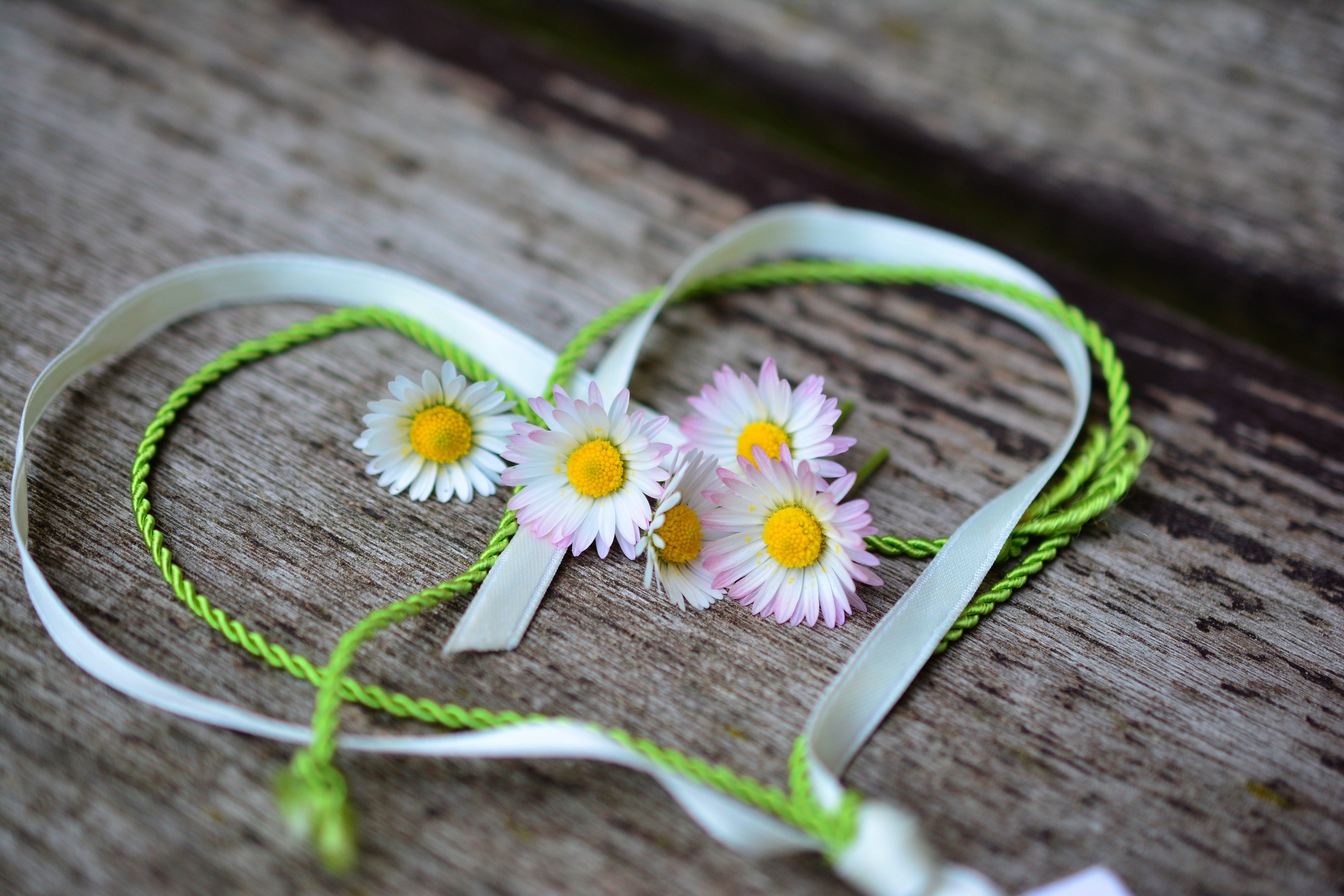 Daisies and ribbons forming a heart on wood HD Wallpaper